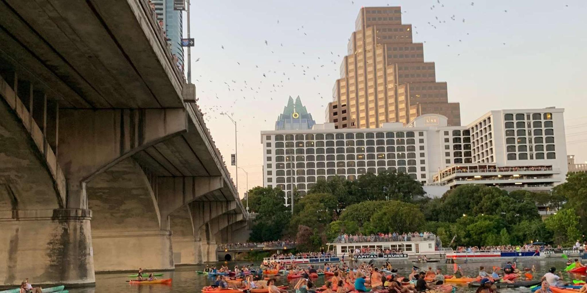 Austin Kayak Tour with 1.5 Million Bats at Sunset - Image 4