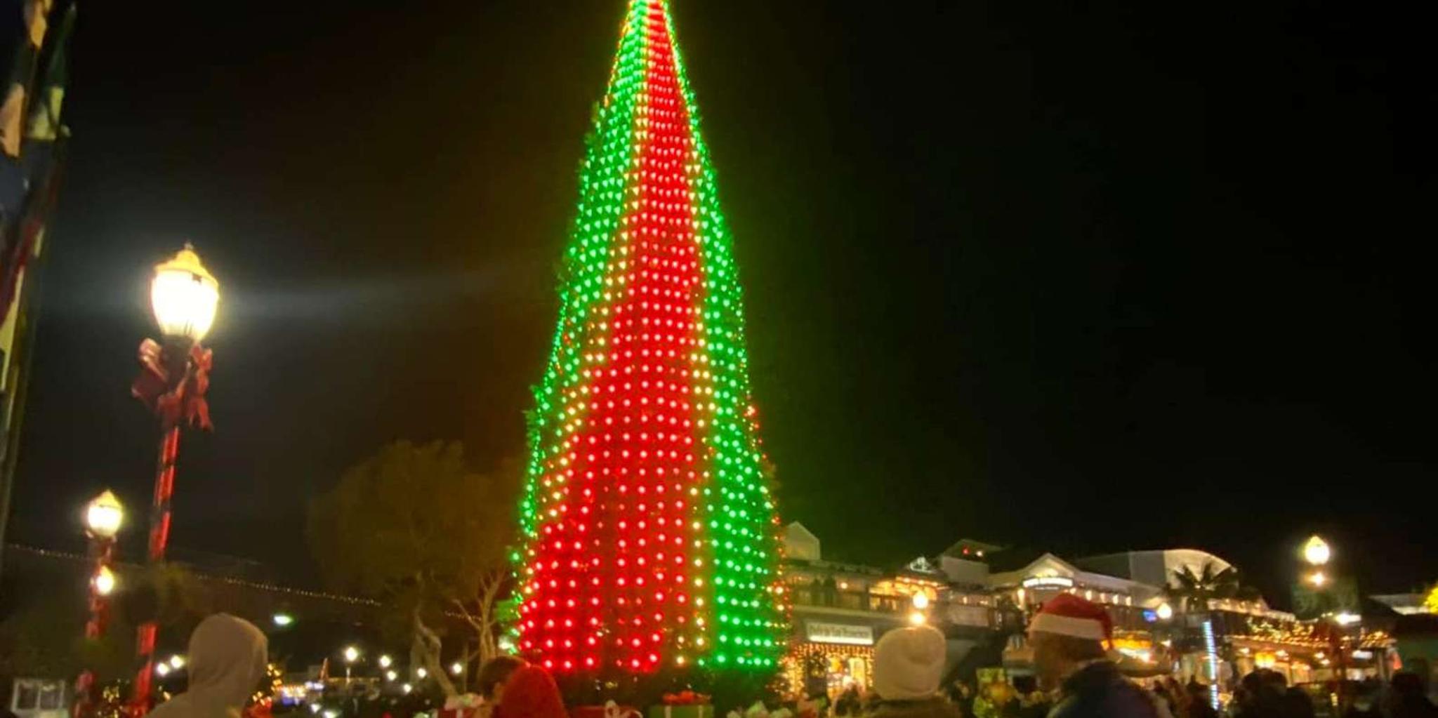 San Francisco Holiday Lights Jeep Tour - Image 5