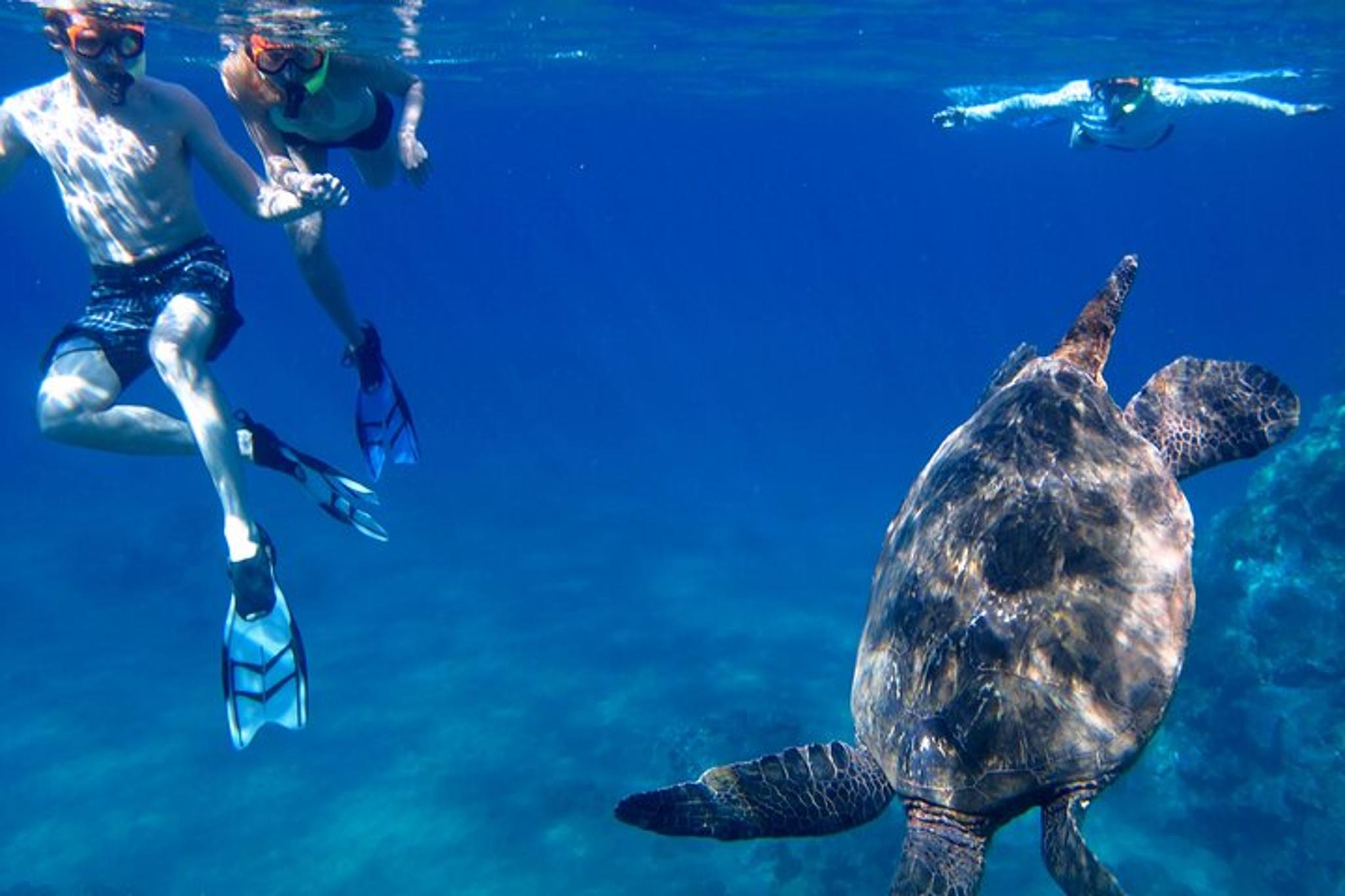 Maui Kayak Snorkel Experience - Image 2