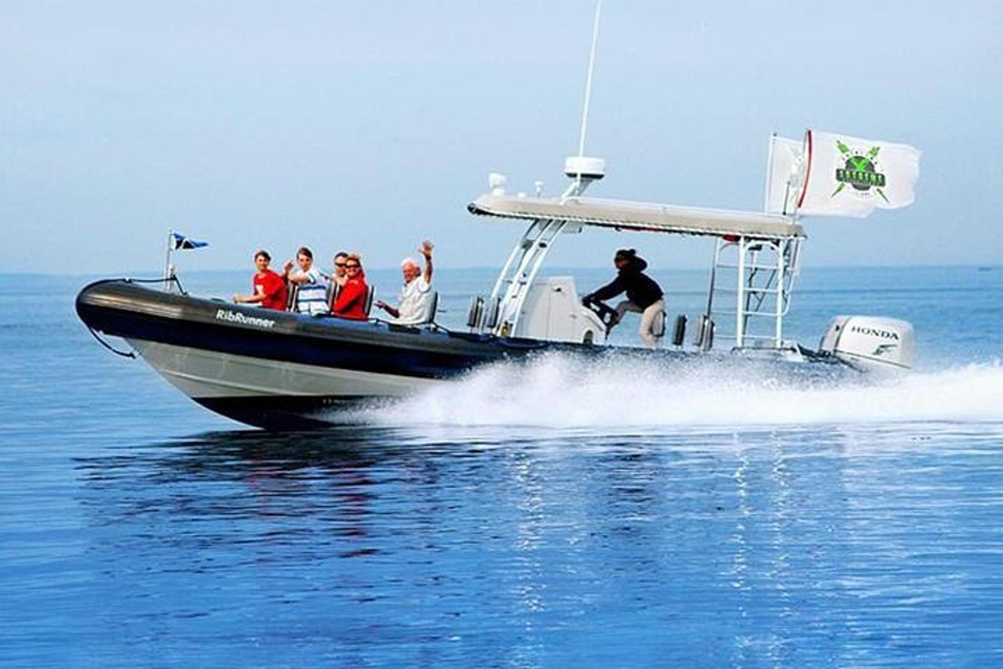 Catalina Island Trip with Hotel Transfers - Image 4