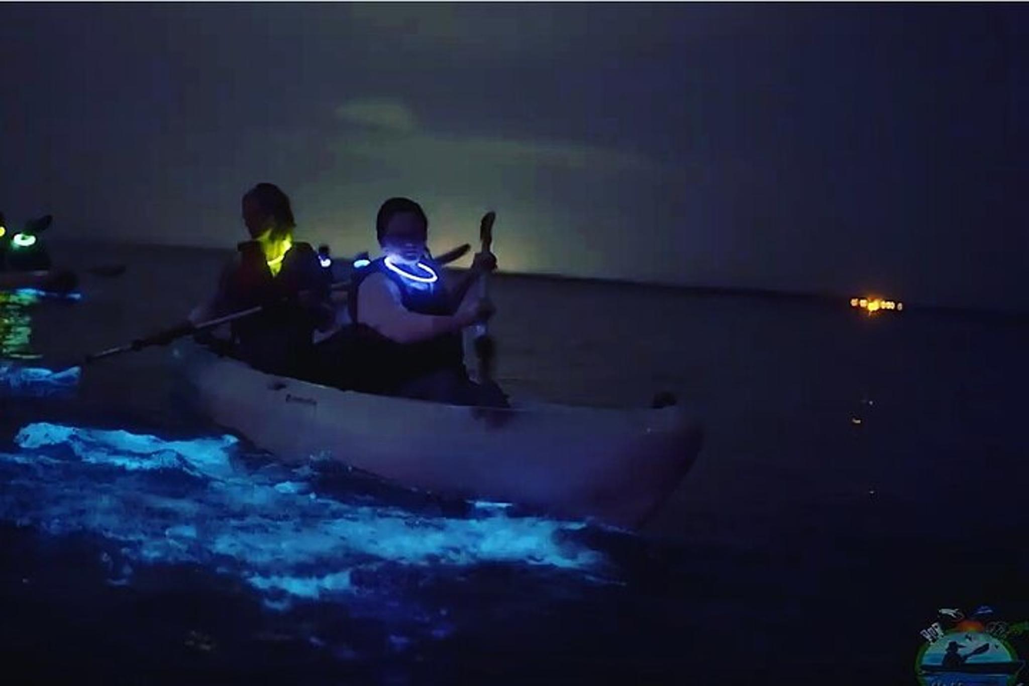Titusville Bioluminescence Kayaking Tour