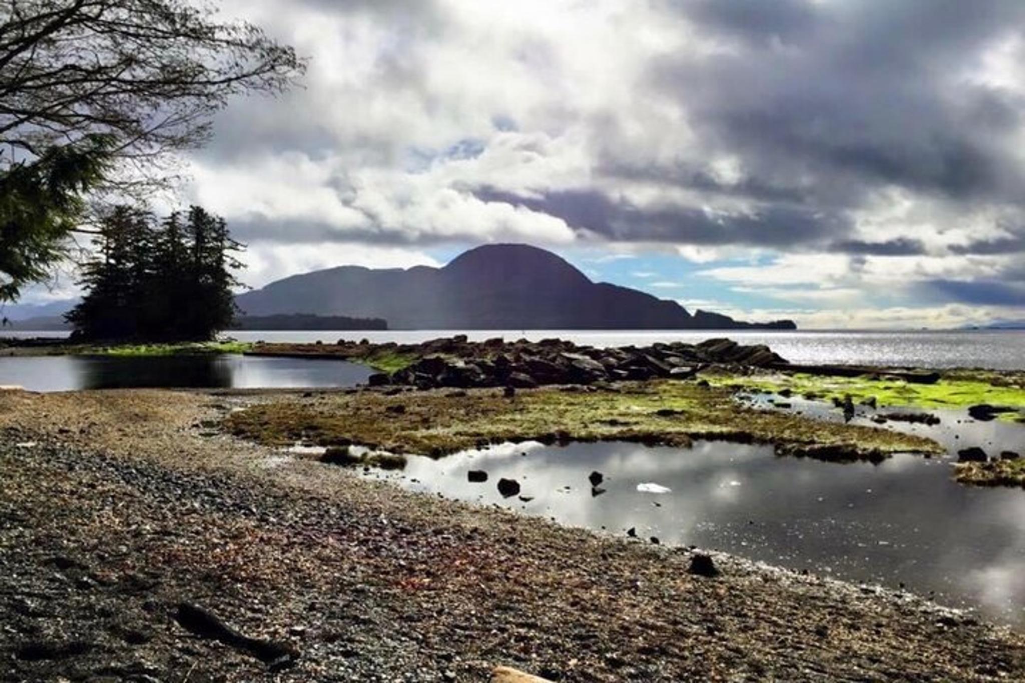 Ketchikan City Totems & Wildlife Van Tour - Image 1