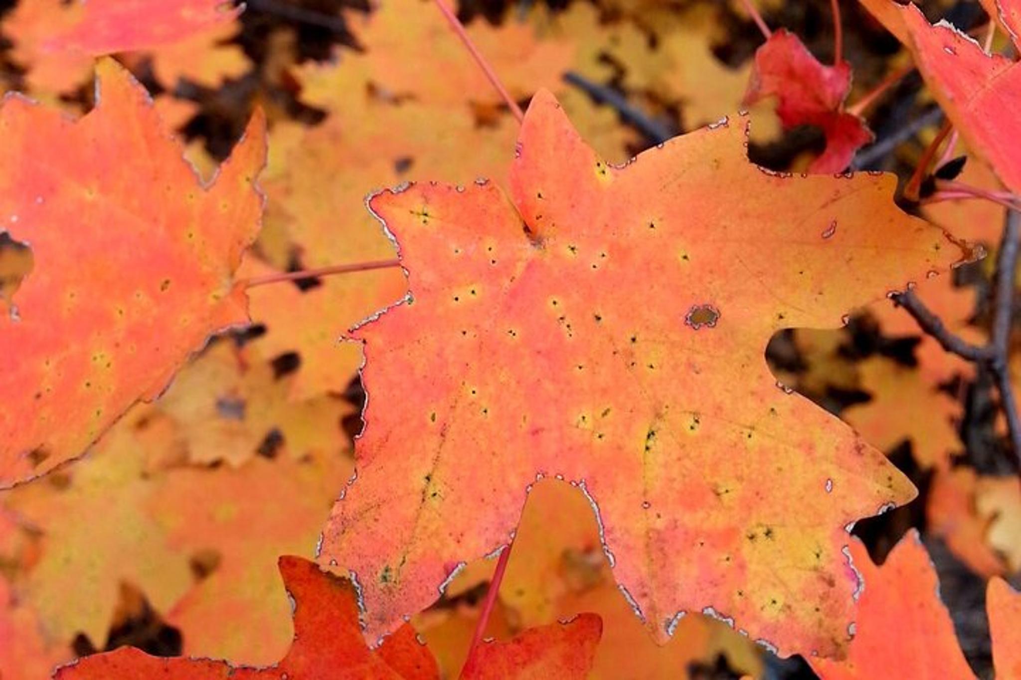 Sedona Cathedral Rock Hike With Private Guide - Image 5
