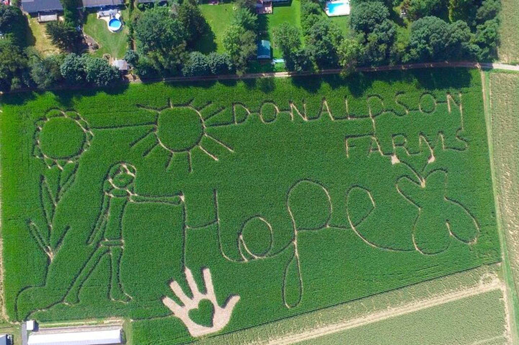 New York Farm Fun Day Tour - Image 5