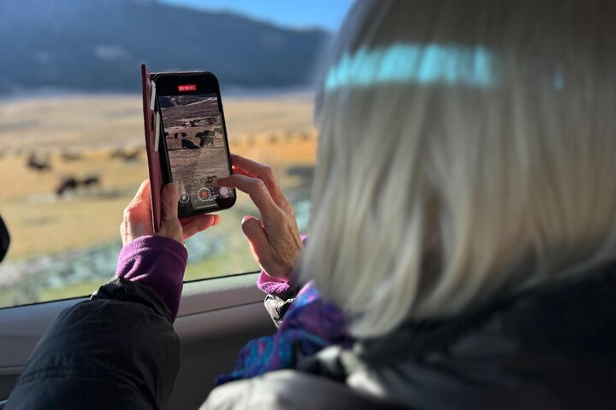 Gardiner Wildlife Safari with Lunch 8 hr - Image 2