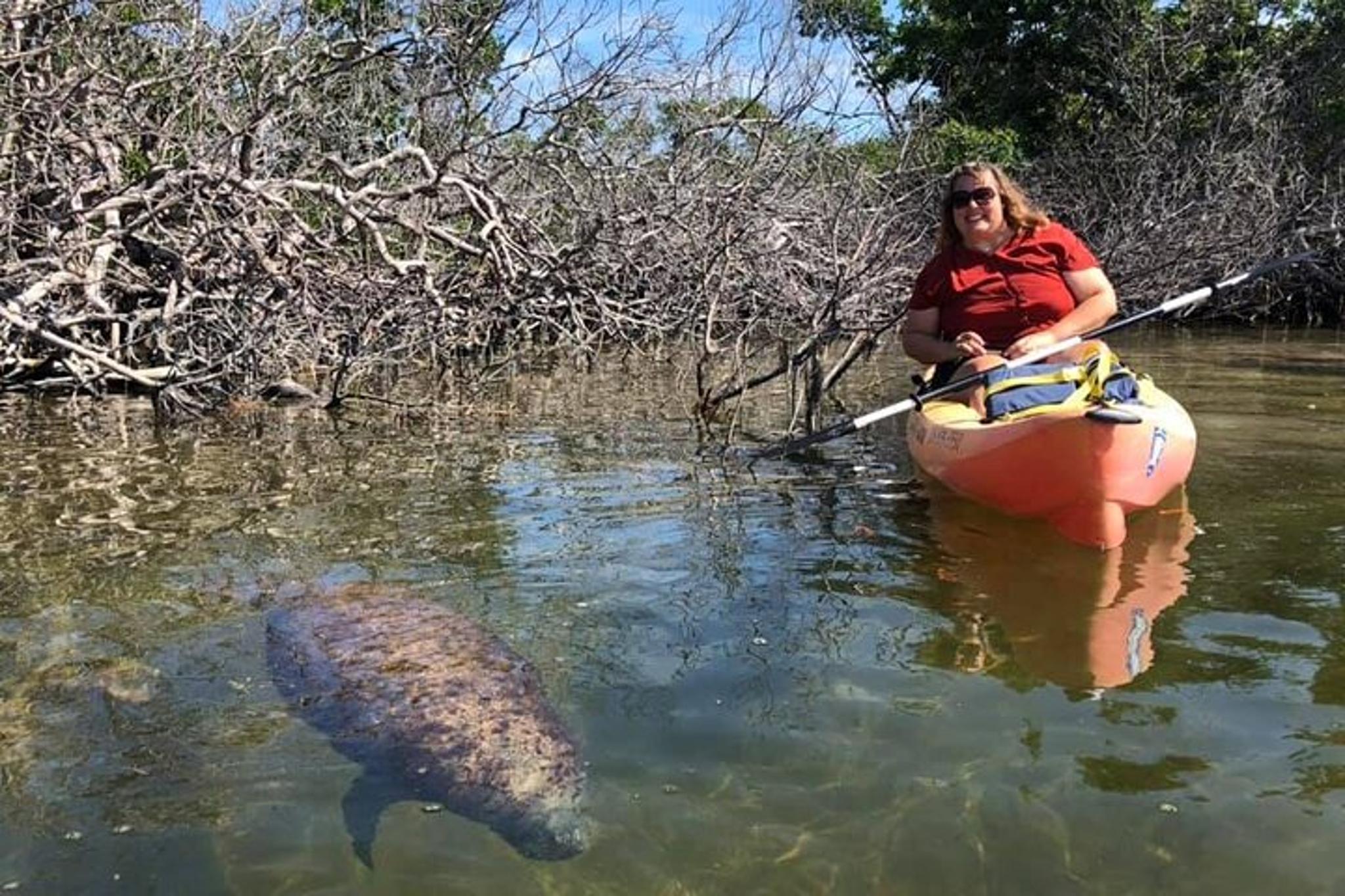 Key Largo Mangrove Kayak Eco Tour - Image 6