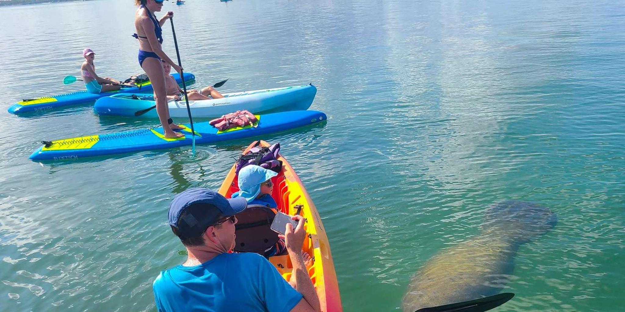 Sarasota Mangrove Kayak Tour with Hidden Beach - Image 5