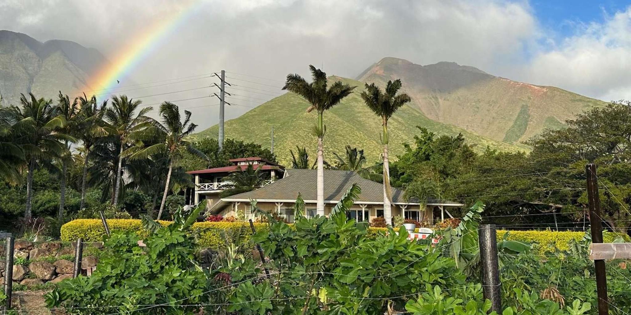 Maui Mango Farm Sunset Tour - Image 5