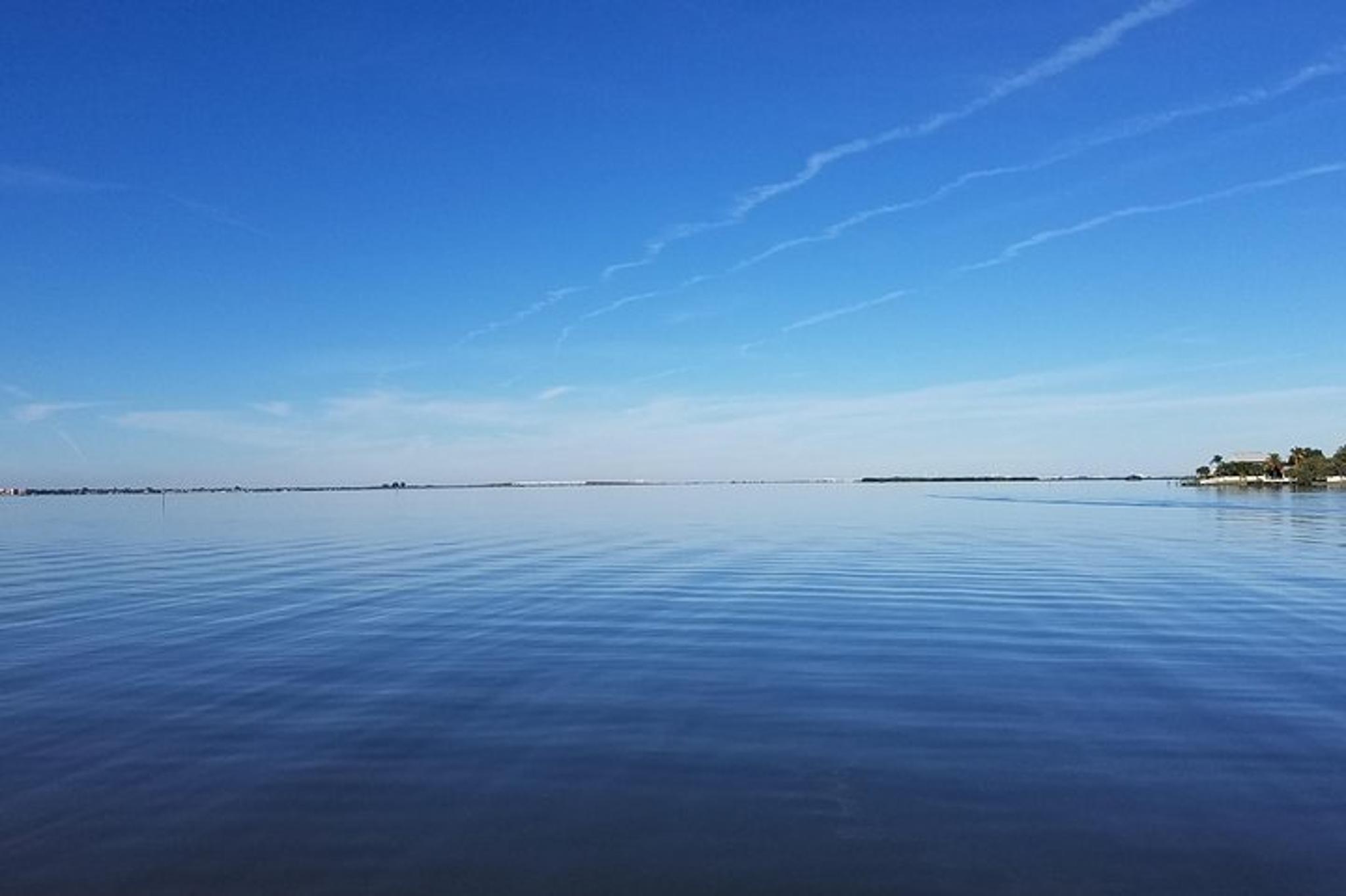 Indian River Lagoon Boat Tour - Image 3