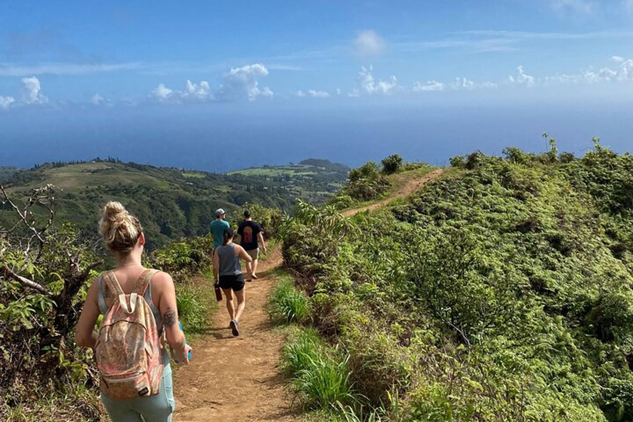 Maui Ridge Hike - Image 1