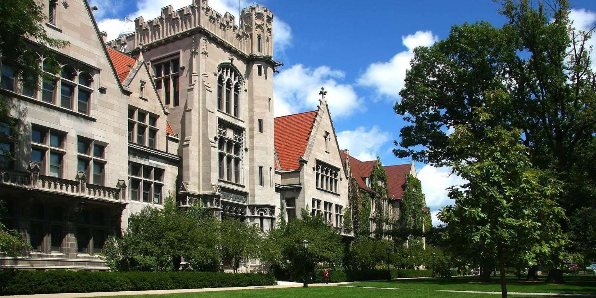 Chicago Neighborhoods Discovery Tour - Image 2