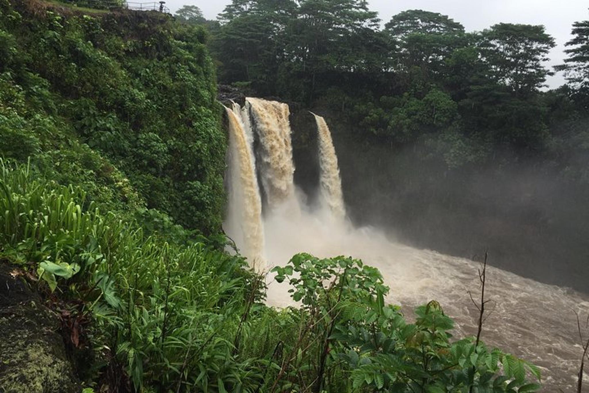 Hilo Volcanoes National Park Adventure Tour