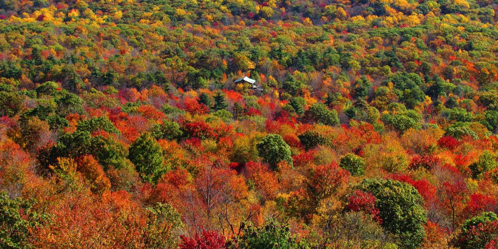 Hudson Valley Helicopter Tour
