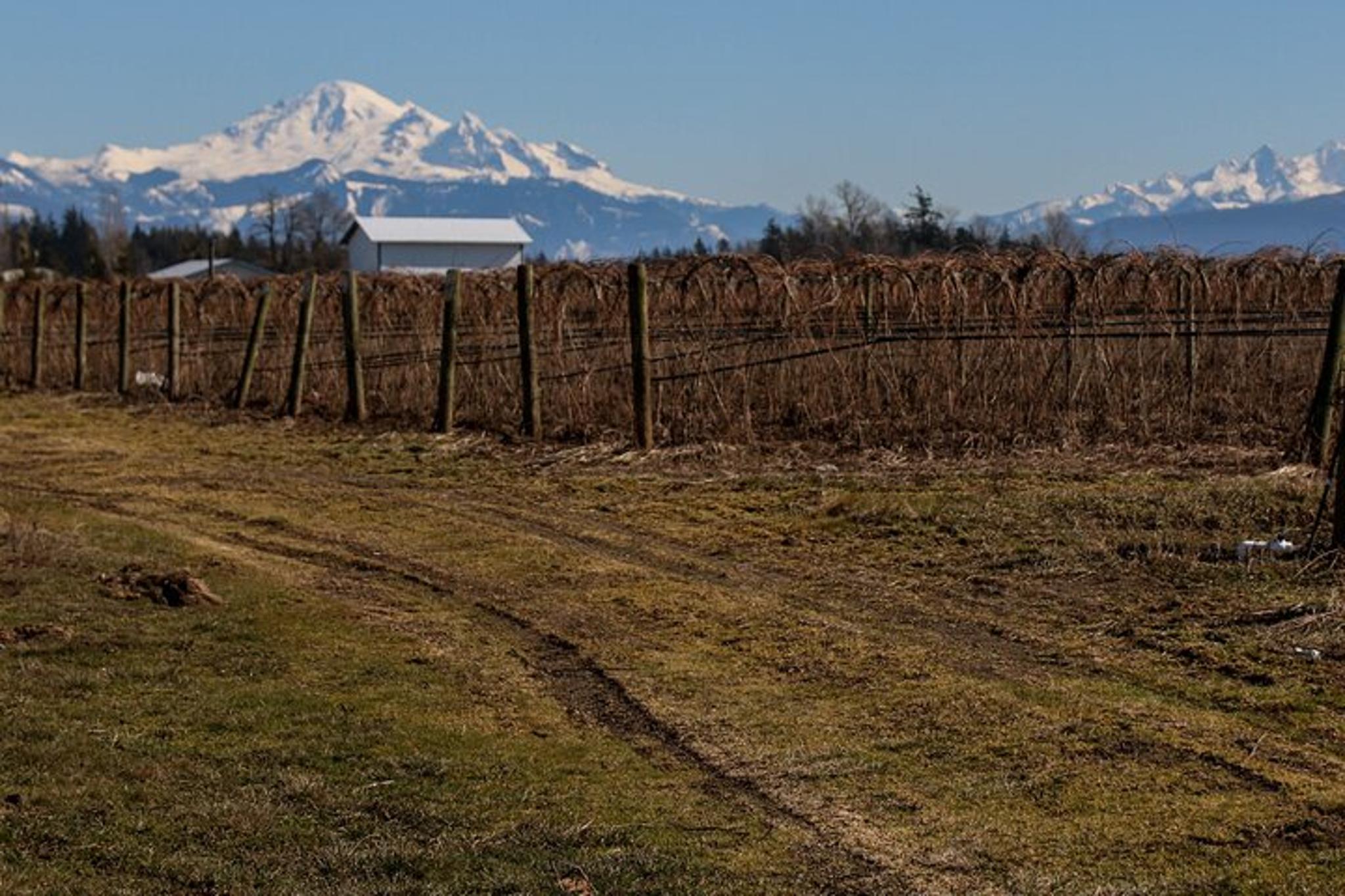Bellingham Border Corner Tour - Image 5