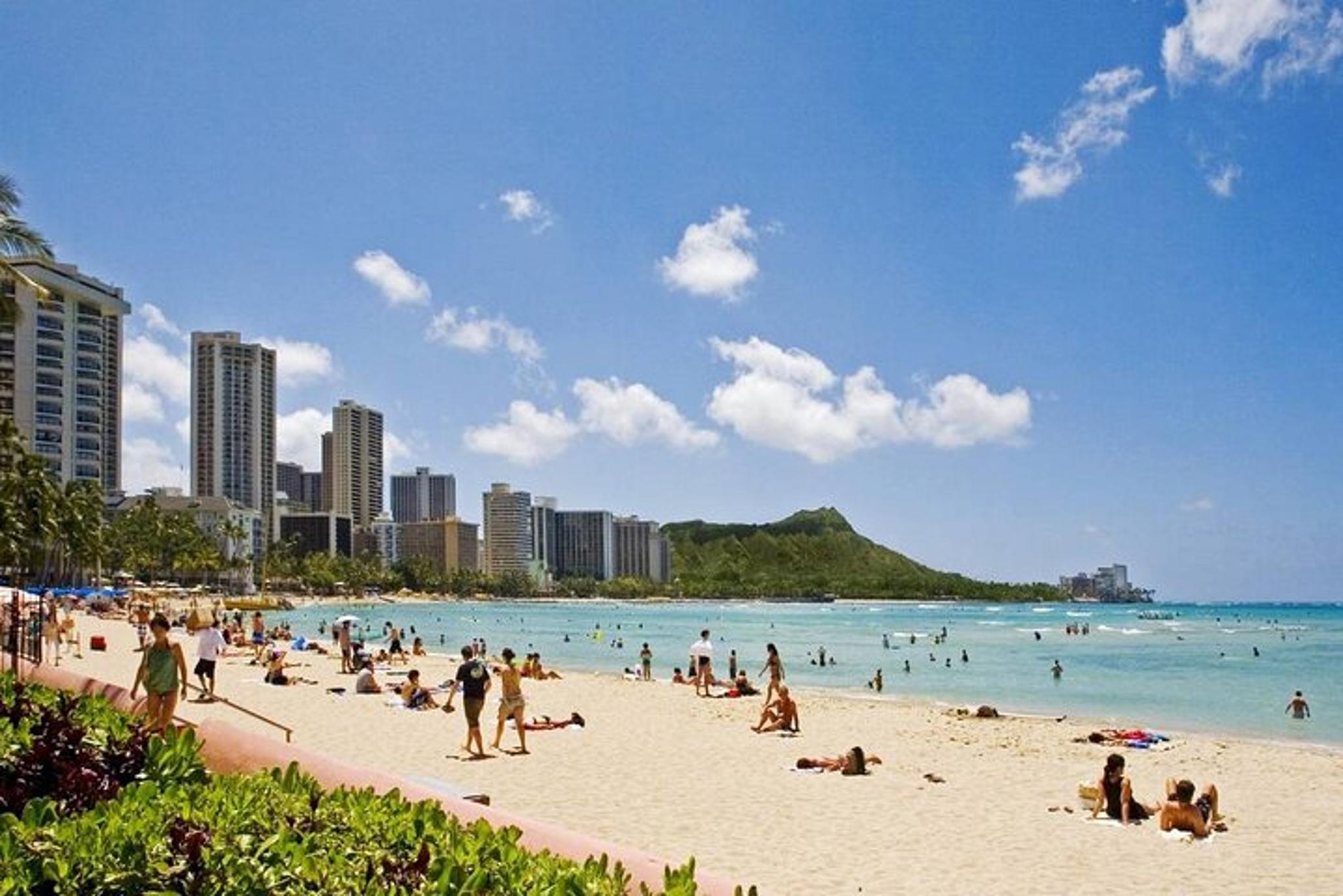 Honolulu Airport Private SUV Transfer - Image 2