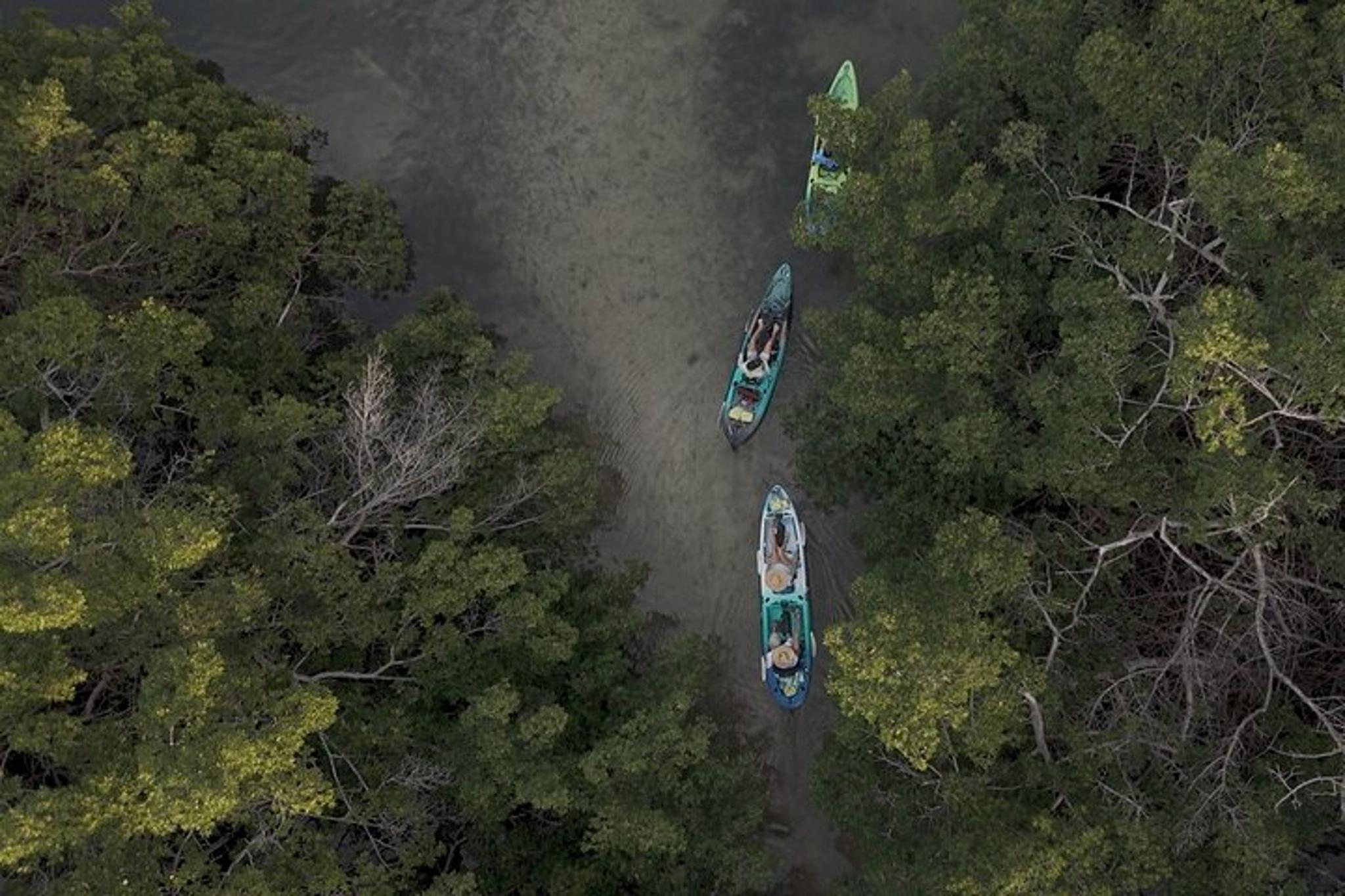 Sarasota Pedal Kayak Tour - Image 5