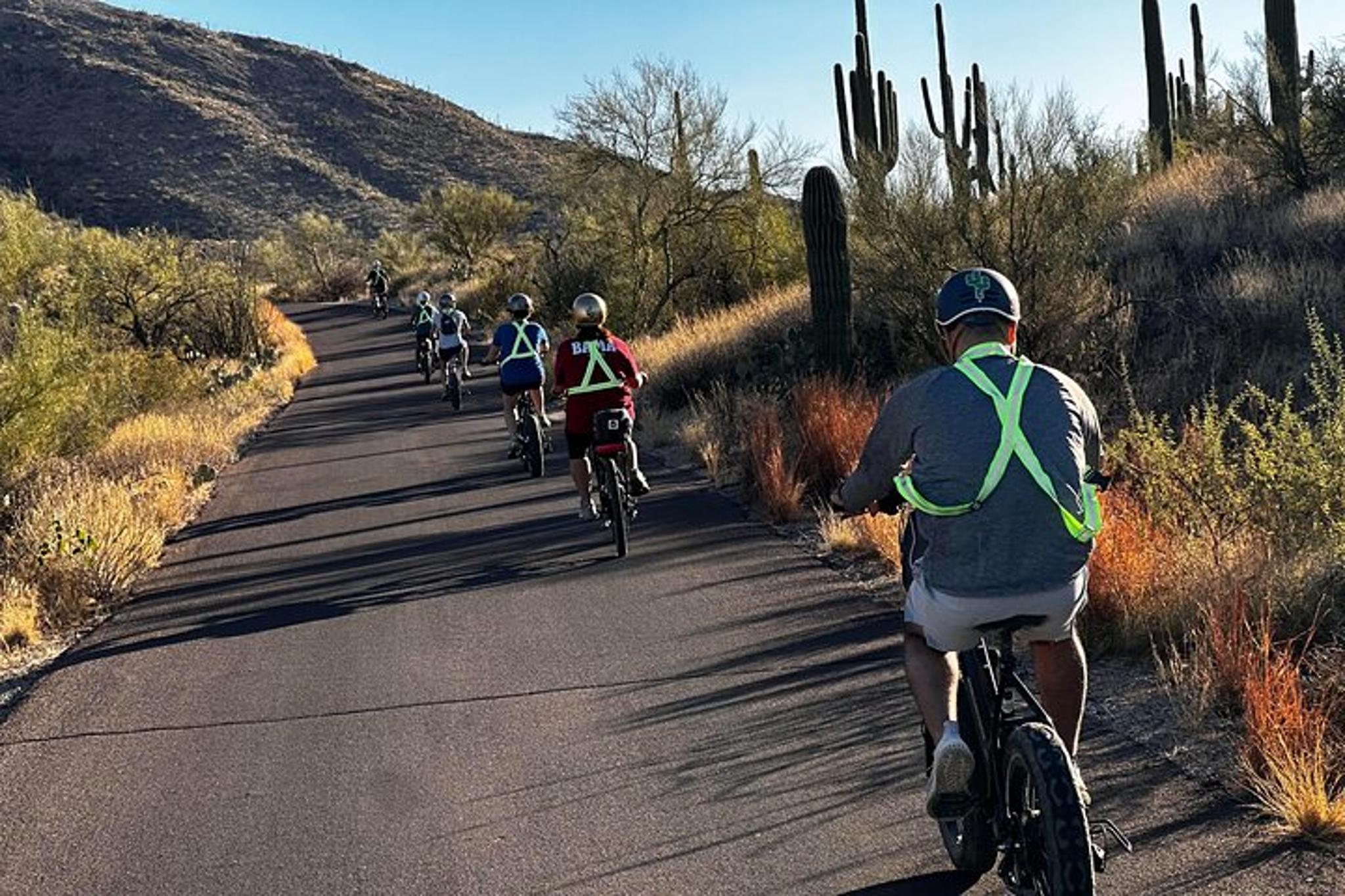 Tucson E-Bike Tour at Sunset in Saguaro National Park - Image 6