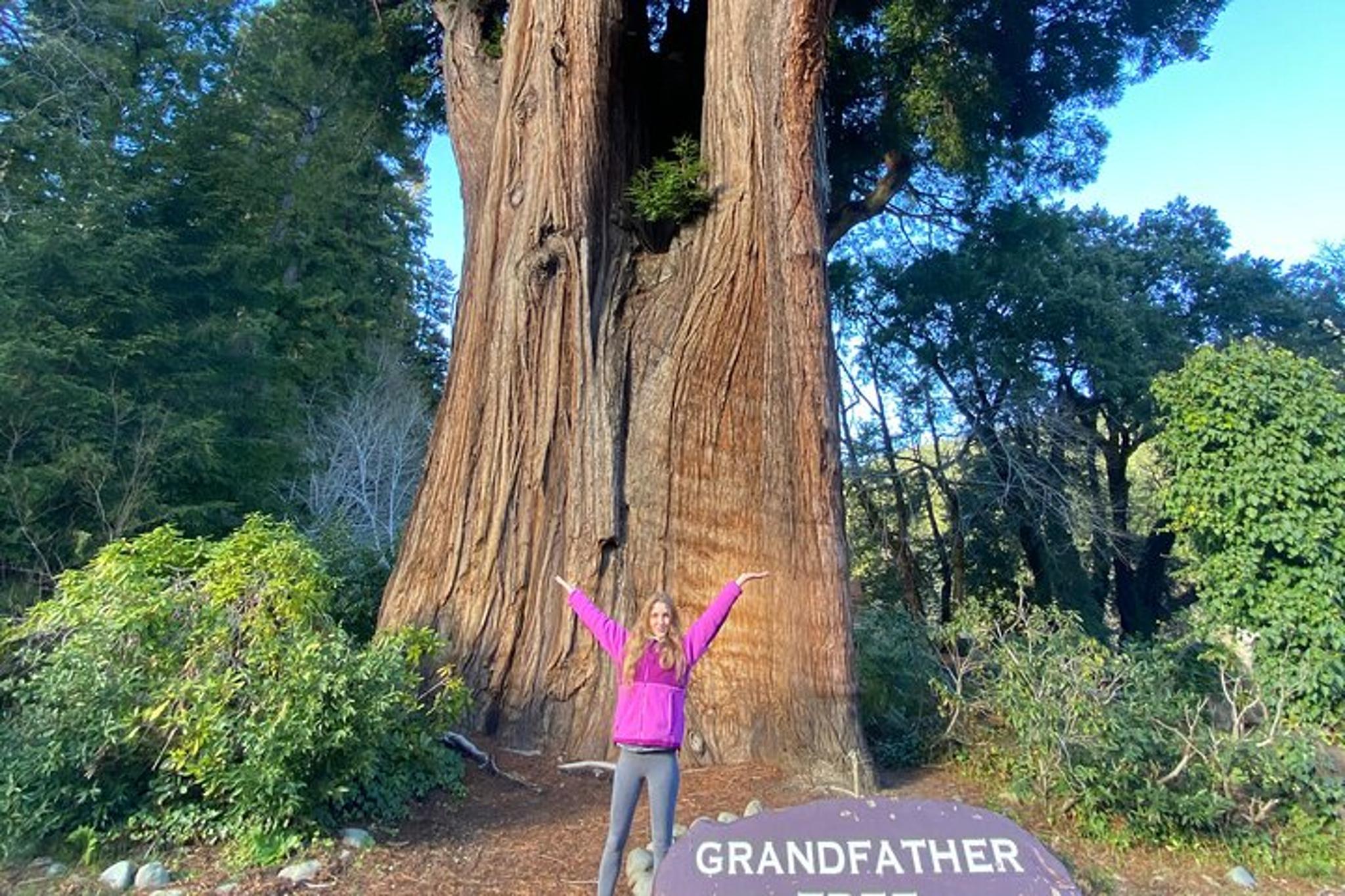 Seattle to California National Parks and Coast Road Trip - Image 2