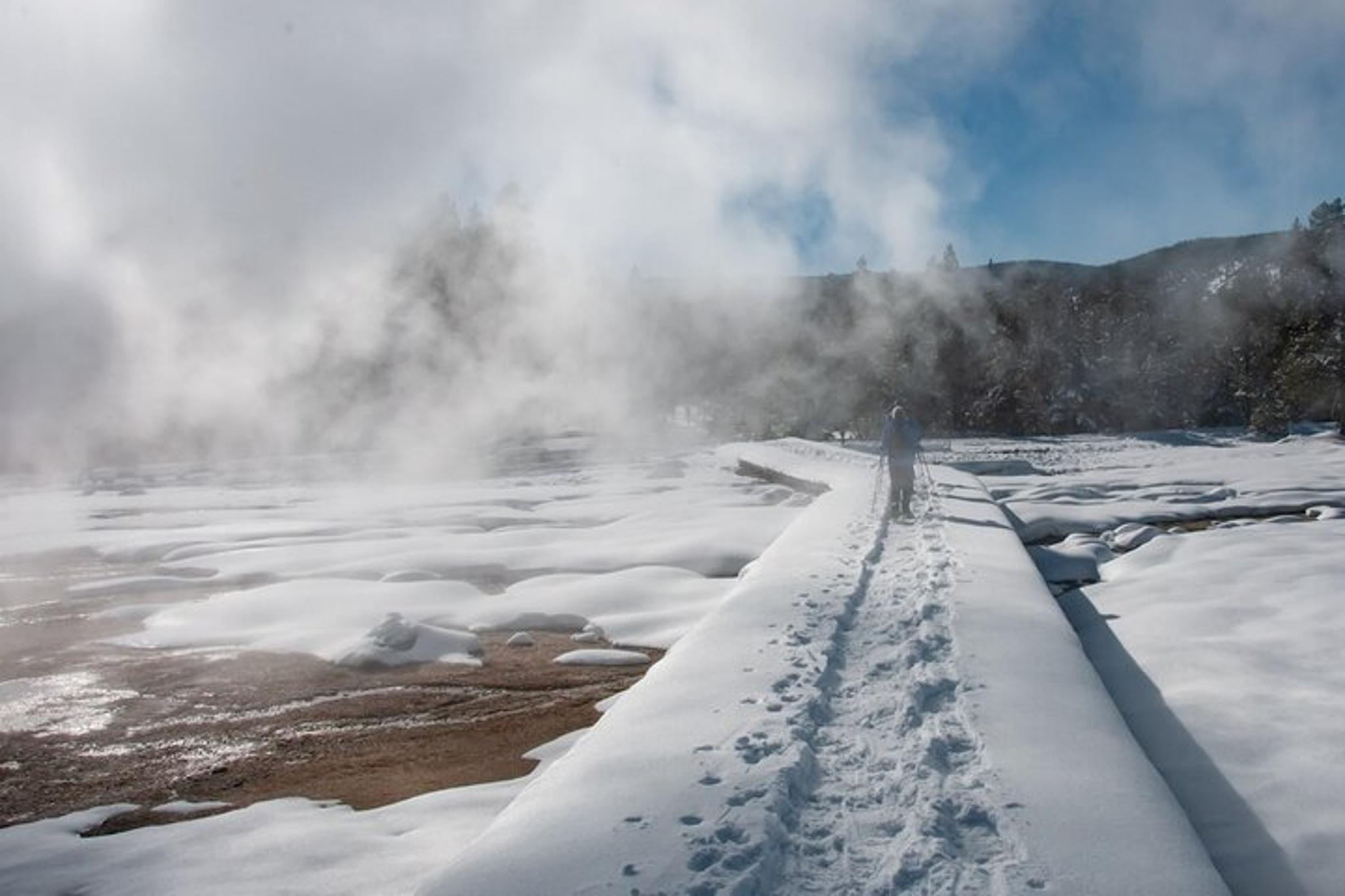 Yellowstone National Park Winter Wildlife Safari - Image 6