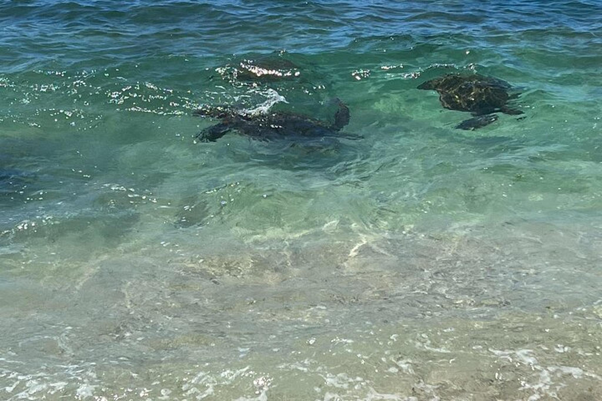 Oahu Private Circle Island Charter Tour - Image 6