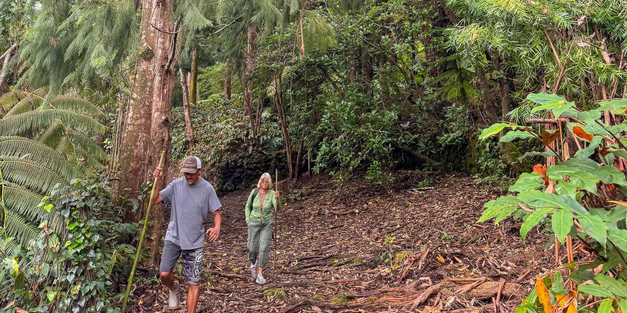 Kona Cloud Forest Sanctuary Guided Walk - Image 5