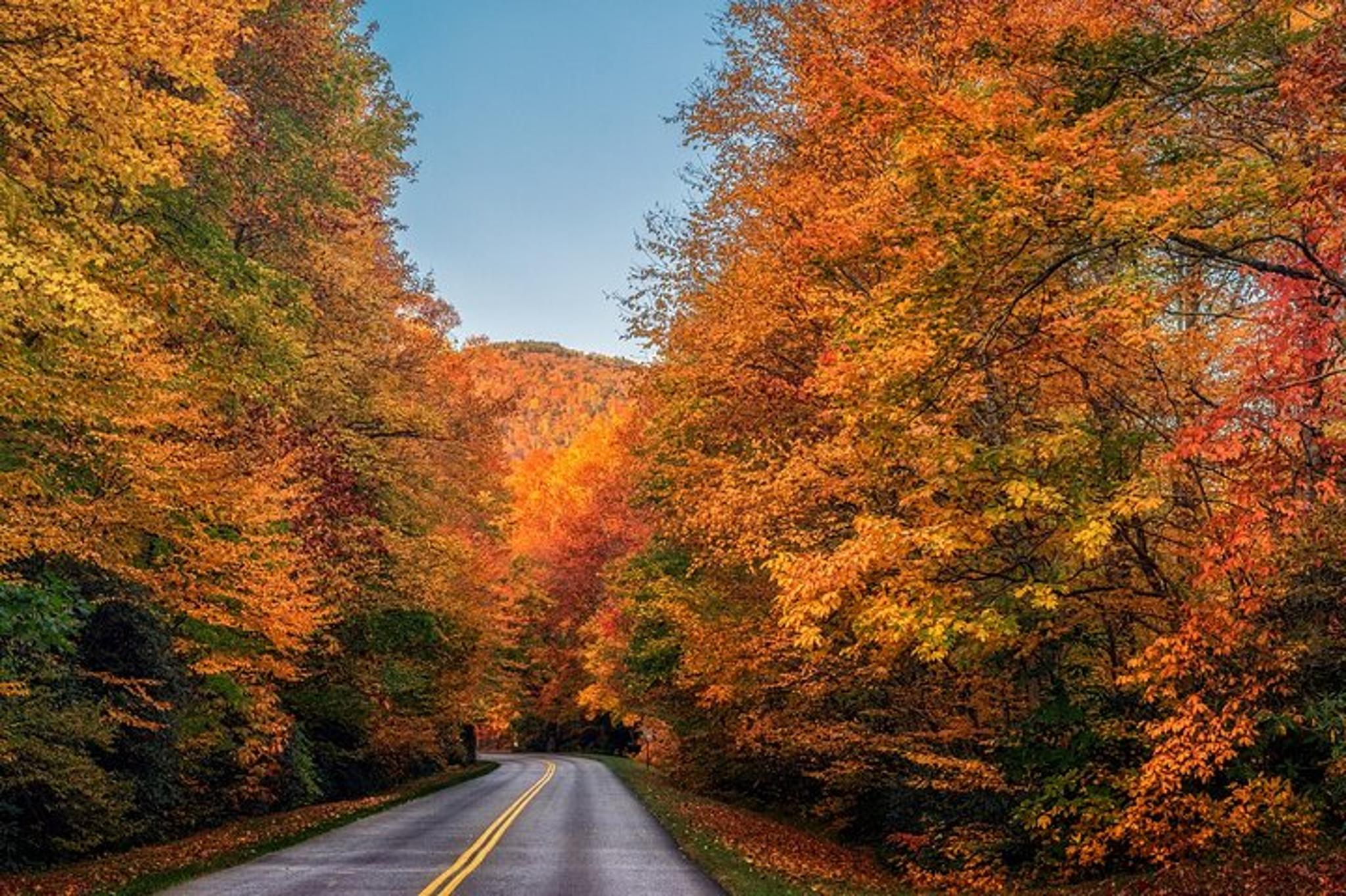 Blue Ridge Mountains Scenic Driving Tour - Image 3