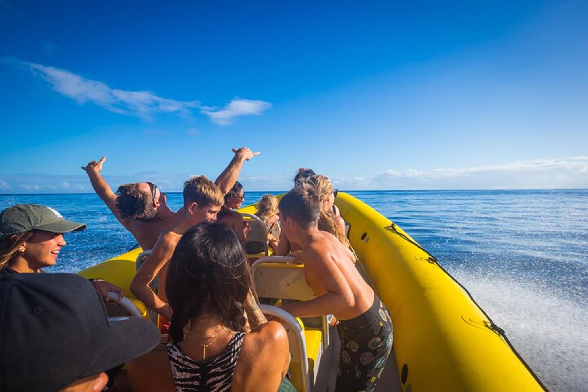 Oahu Whale Watching Tour 1.5 hr - Image 6