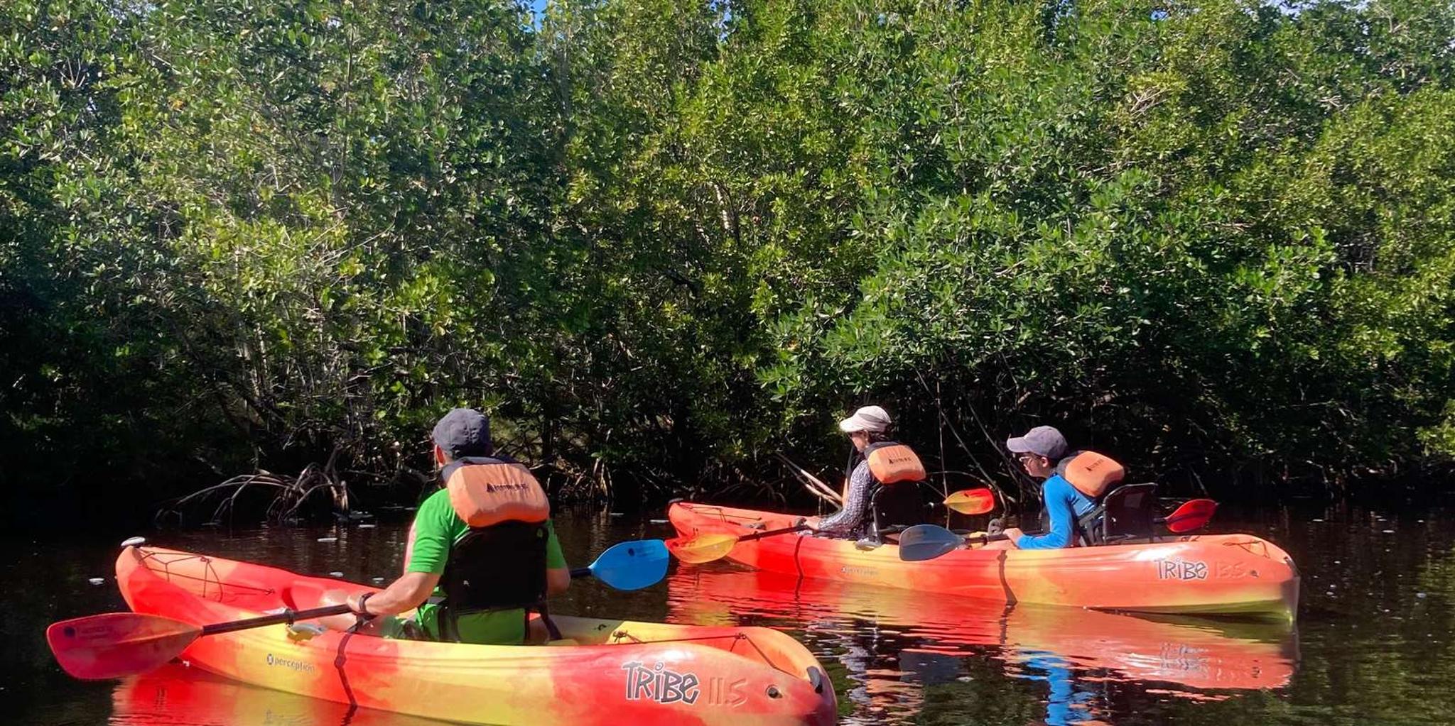 Miami Everglades National Park Kayaking and Hiking Tour - Image 4