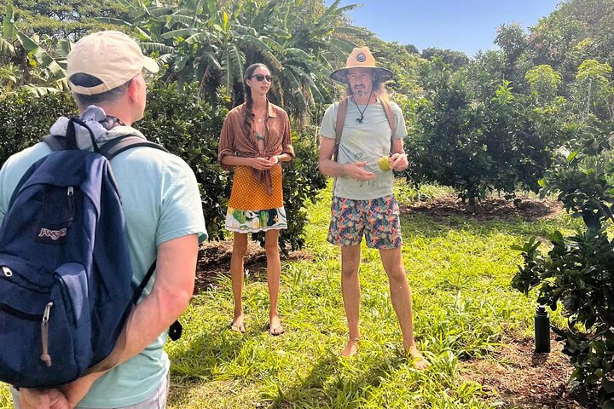 Kauai Tropical Fruit Tasting Tour - Image 3