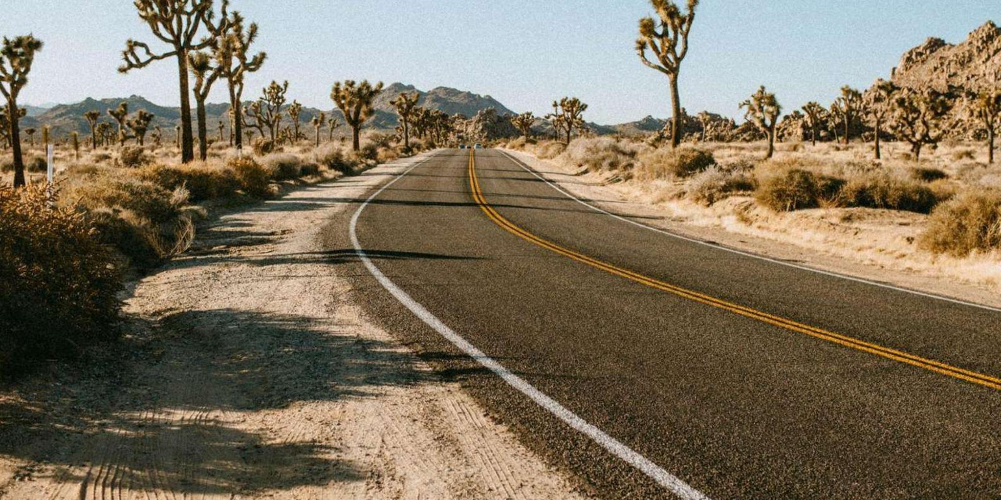 Las Vegas to Los Angeles Tour via Joshua Tree - Image 3
