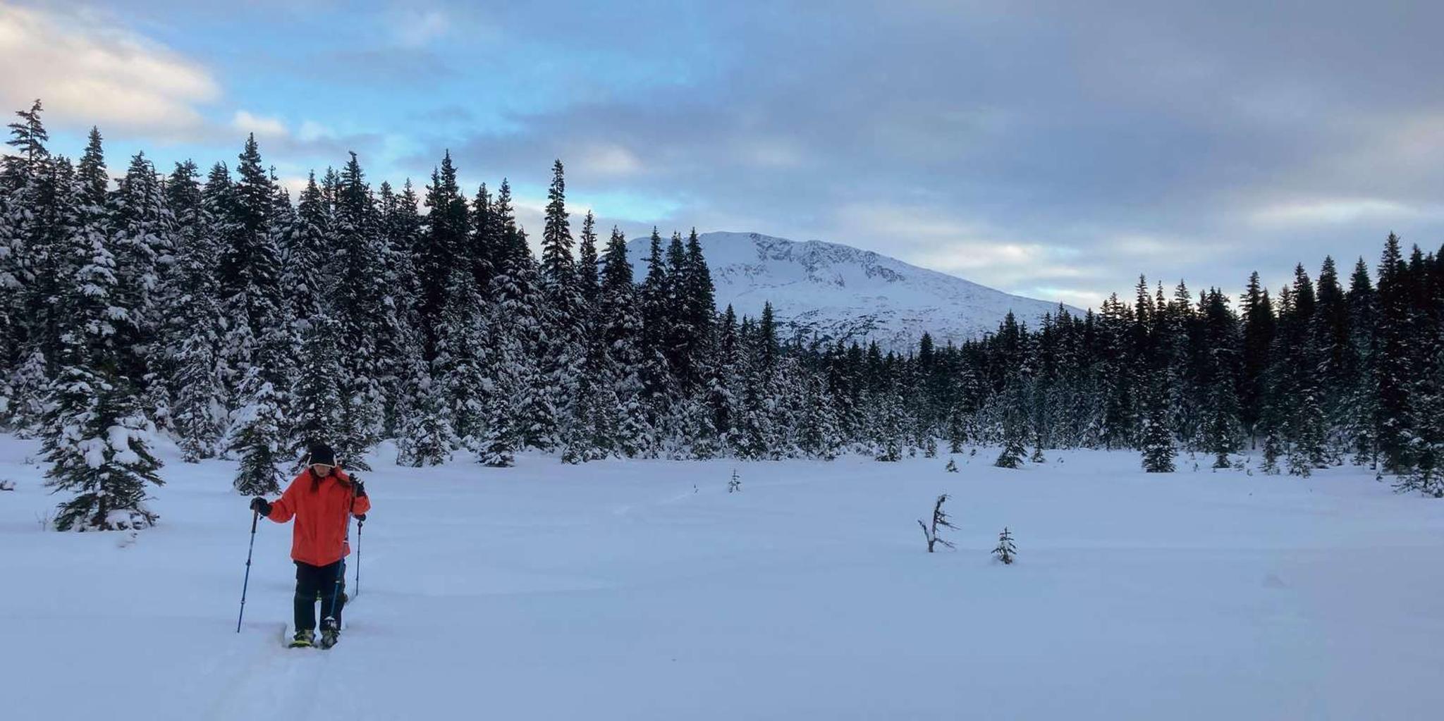 Seward Snowshoeing Adventure - Image 5