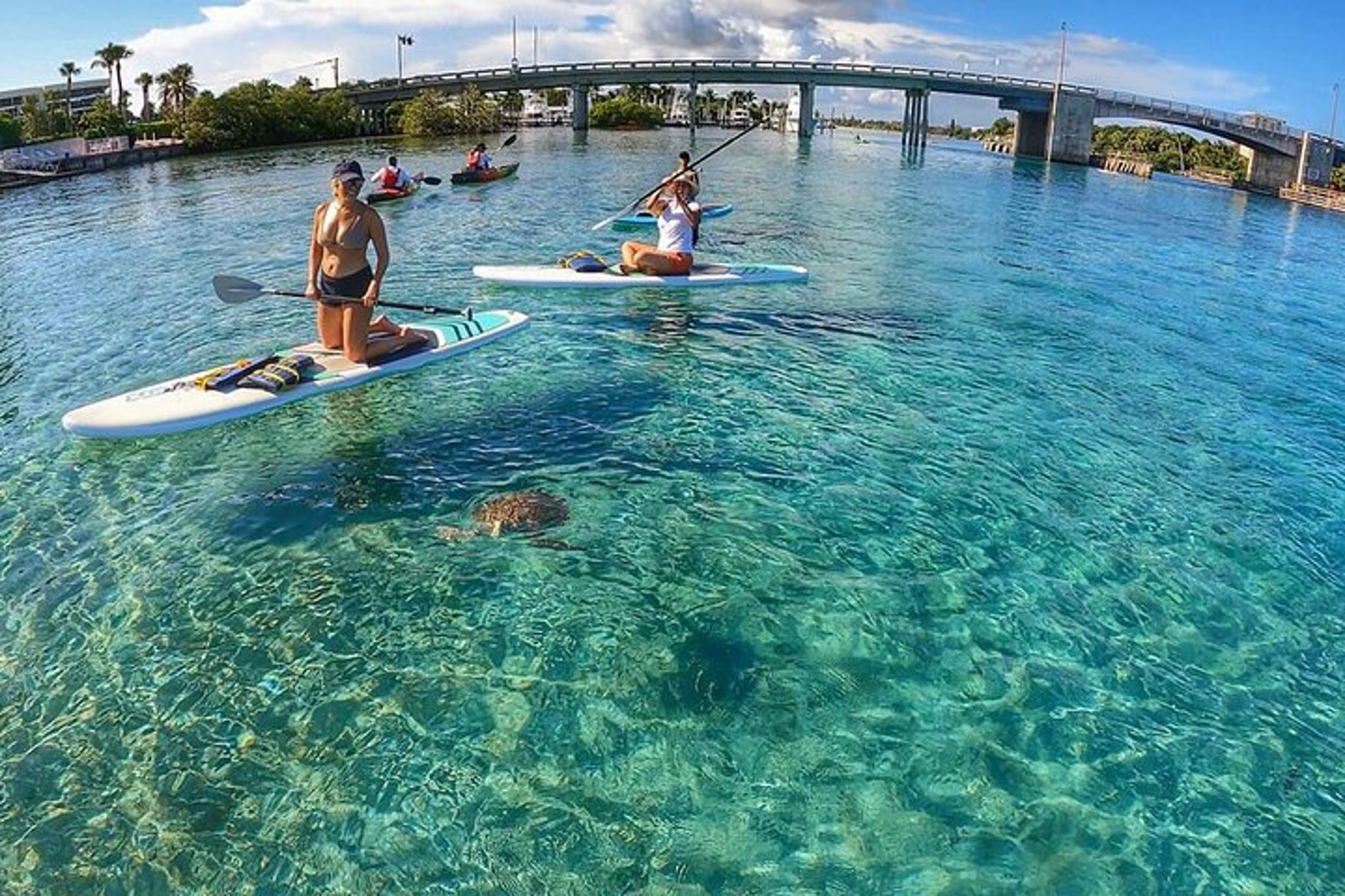 Jupiter Island Paddle Boarding Tour - Image 2