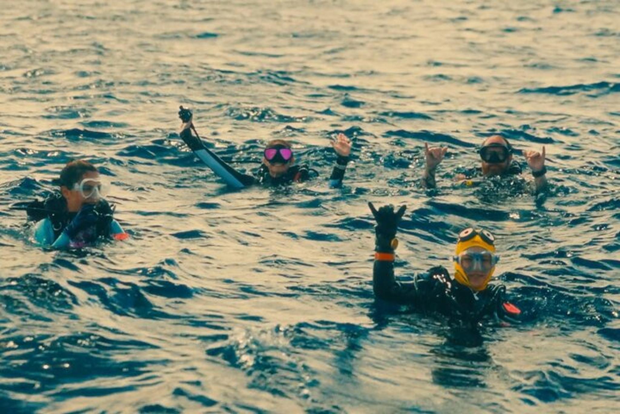 Oahu Certified Diver 2-Tank Reef Dive - Image 4