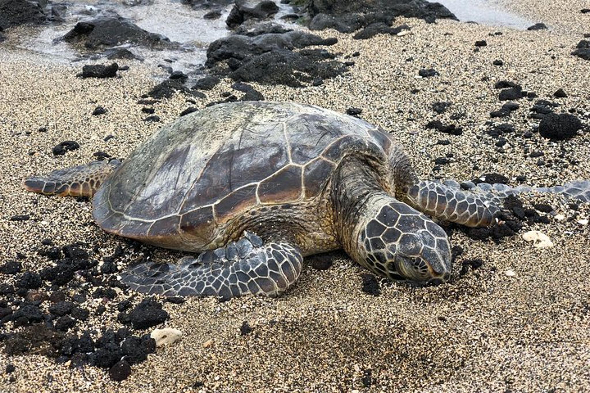Honolulu Circle Island Tour - Image 5