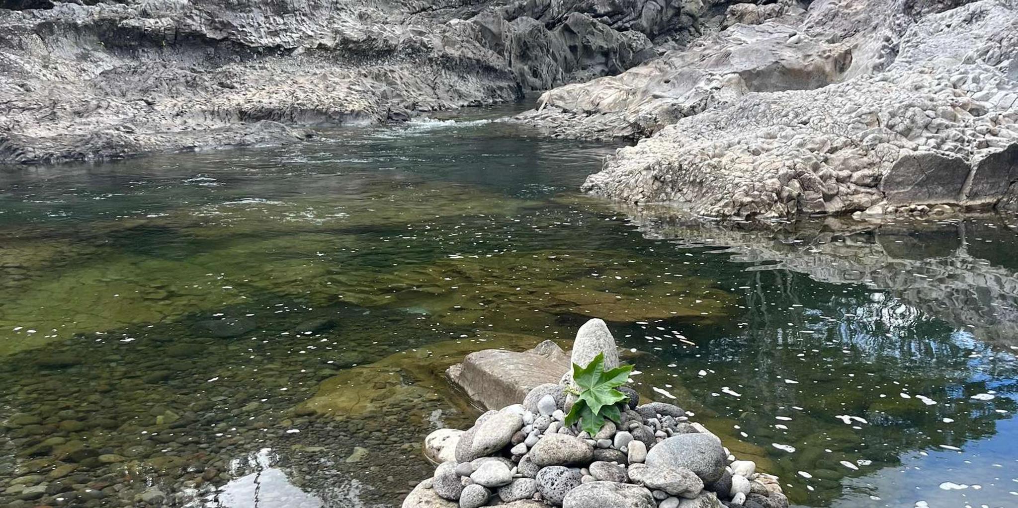 Hilo Waterfall Hike and Swim with Native Hawaiian - Image 4