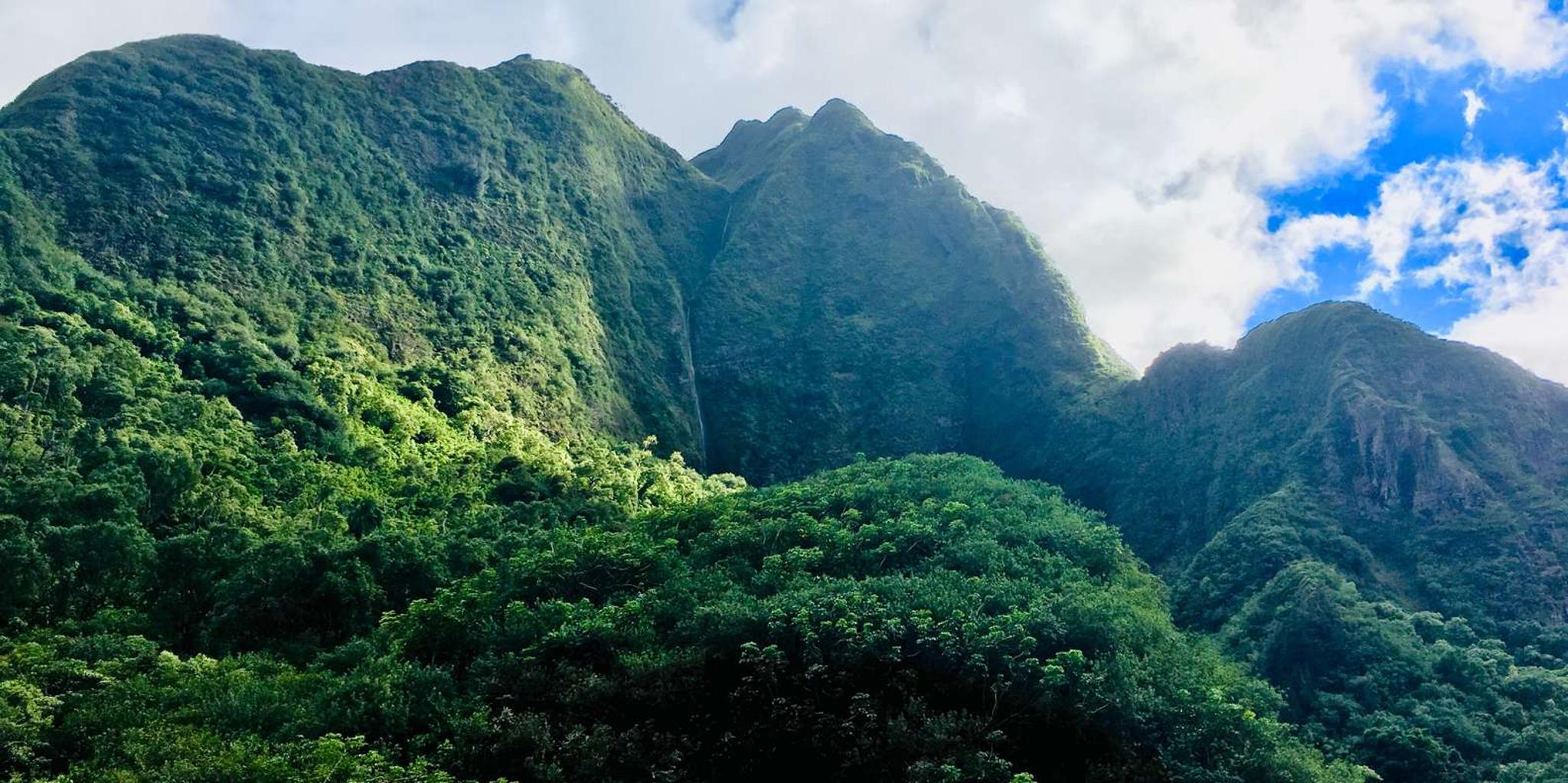 Maui Private Valley Isle Tour - Image 1
