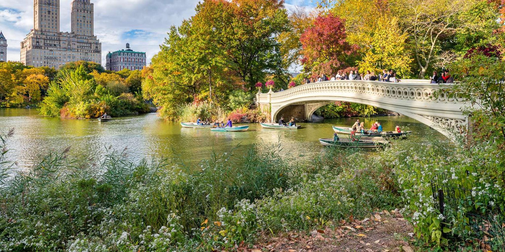 New York Central Park Pedicab Tour - Image 4