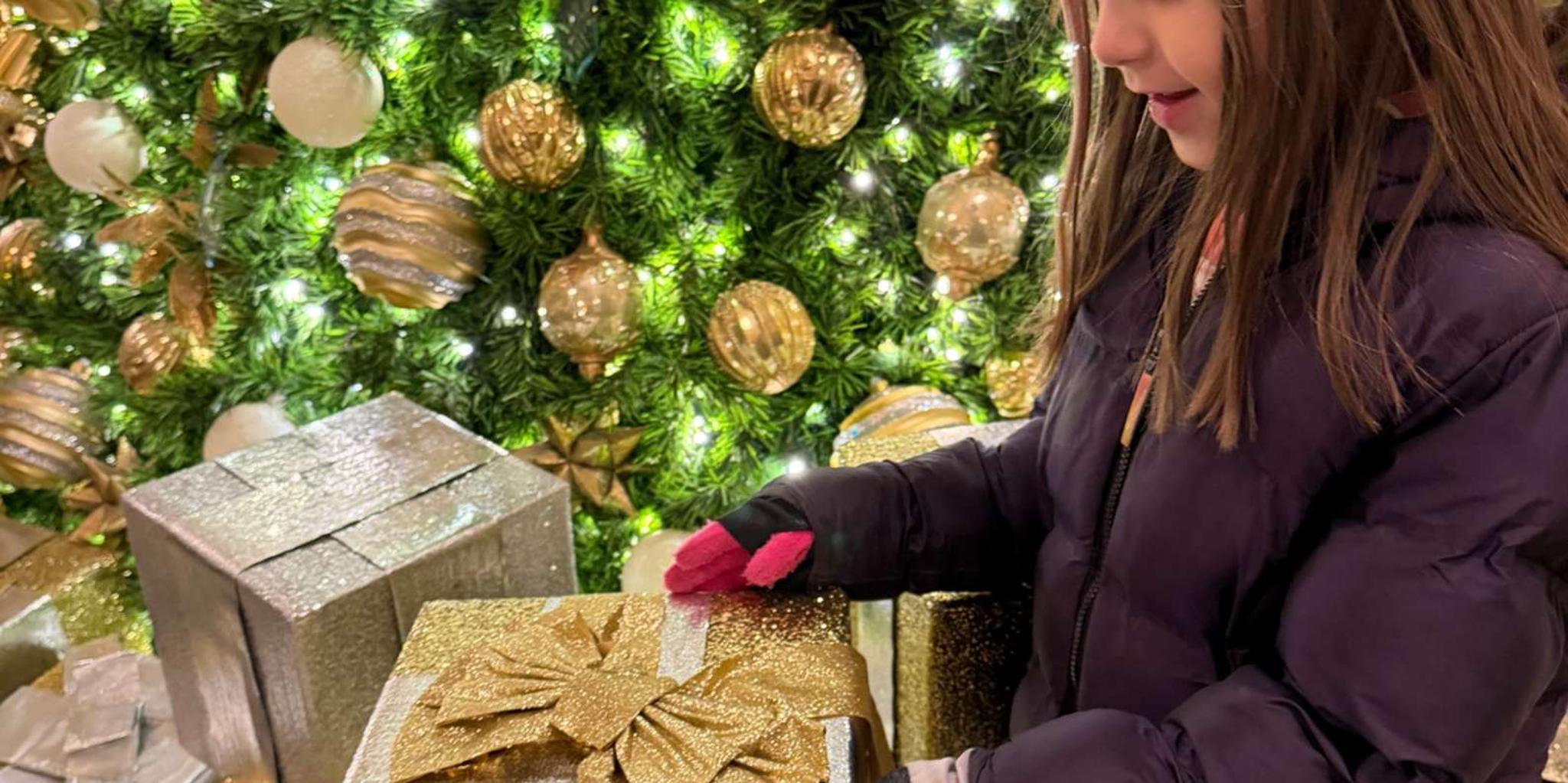 Washington D.C. Christmas Tree & Holiday Lights Tour - Image 3
