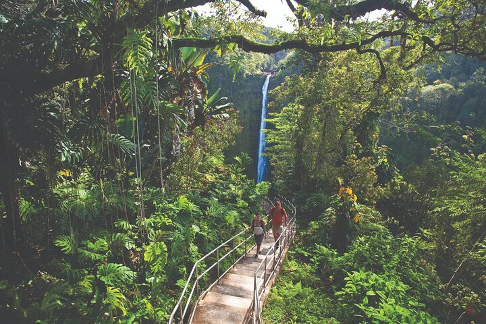 Hilo Volcano Adventure Tour - Image 6