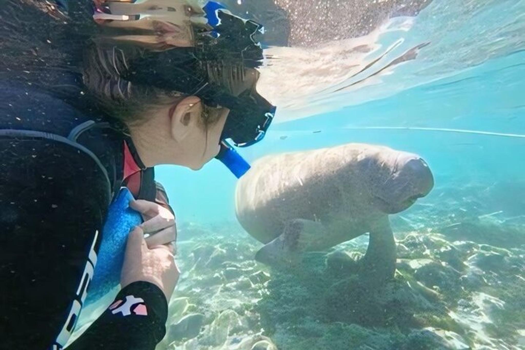 Crystal River Manatee Swim with Heated Boat - Image 3