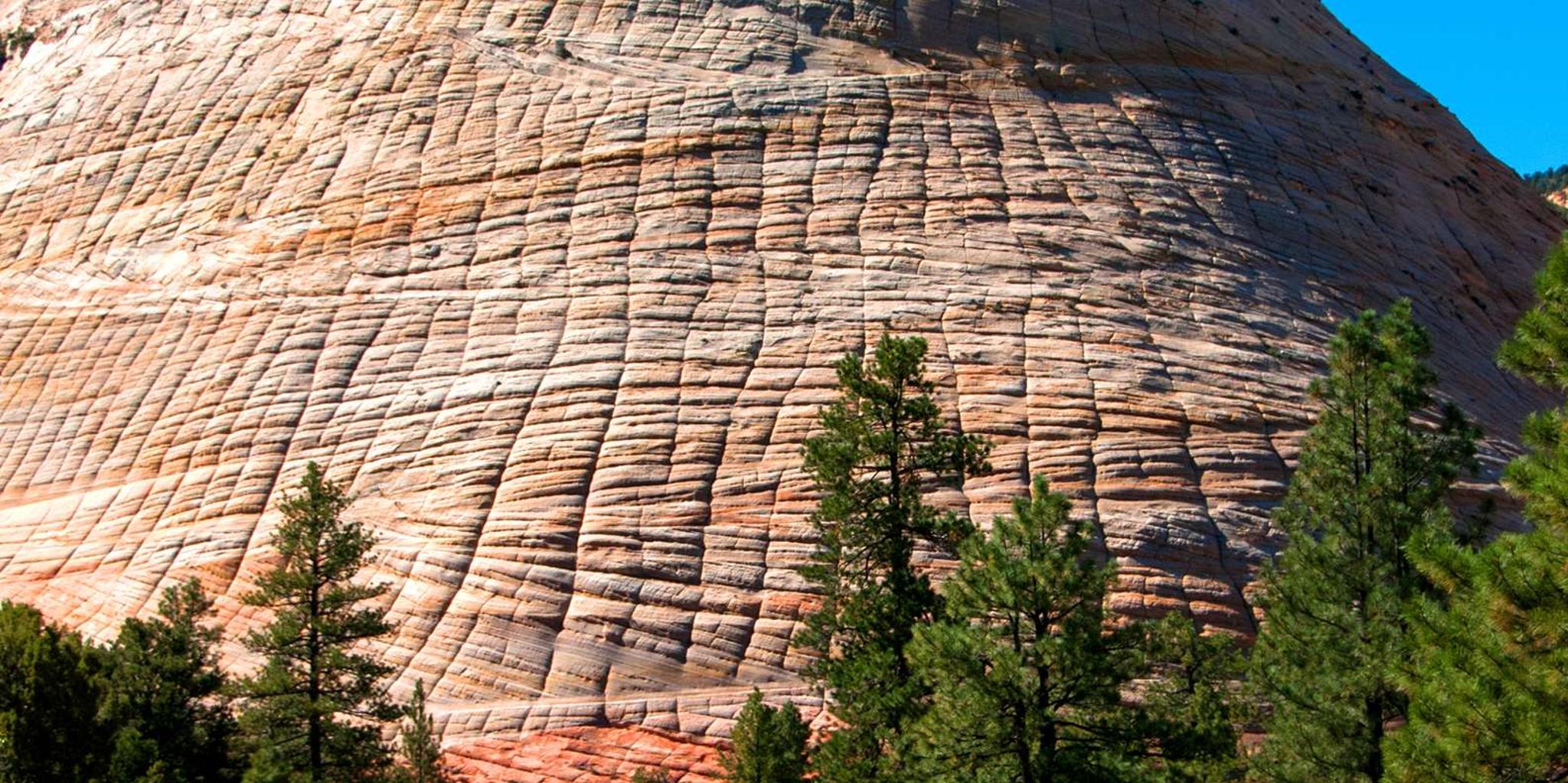 Las Vegas Bryce Canyon and Zion Park Day Tour - Image 3