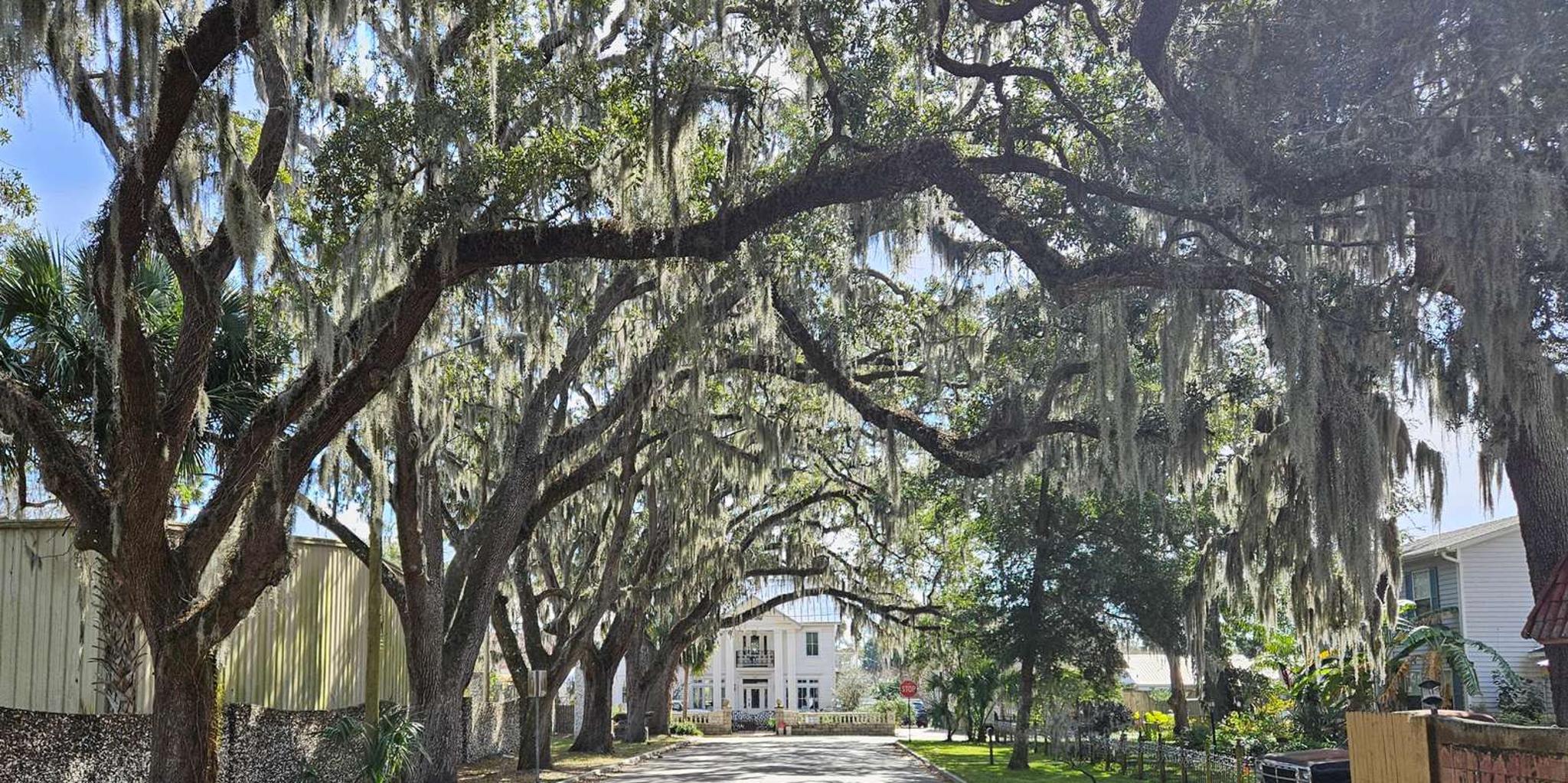 St. Augustine Hop-On Hop-Off Trolley Tour - Image 6