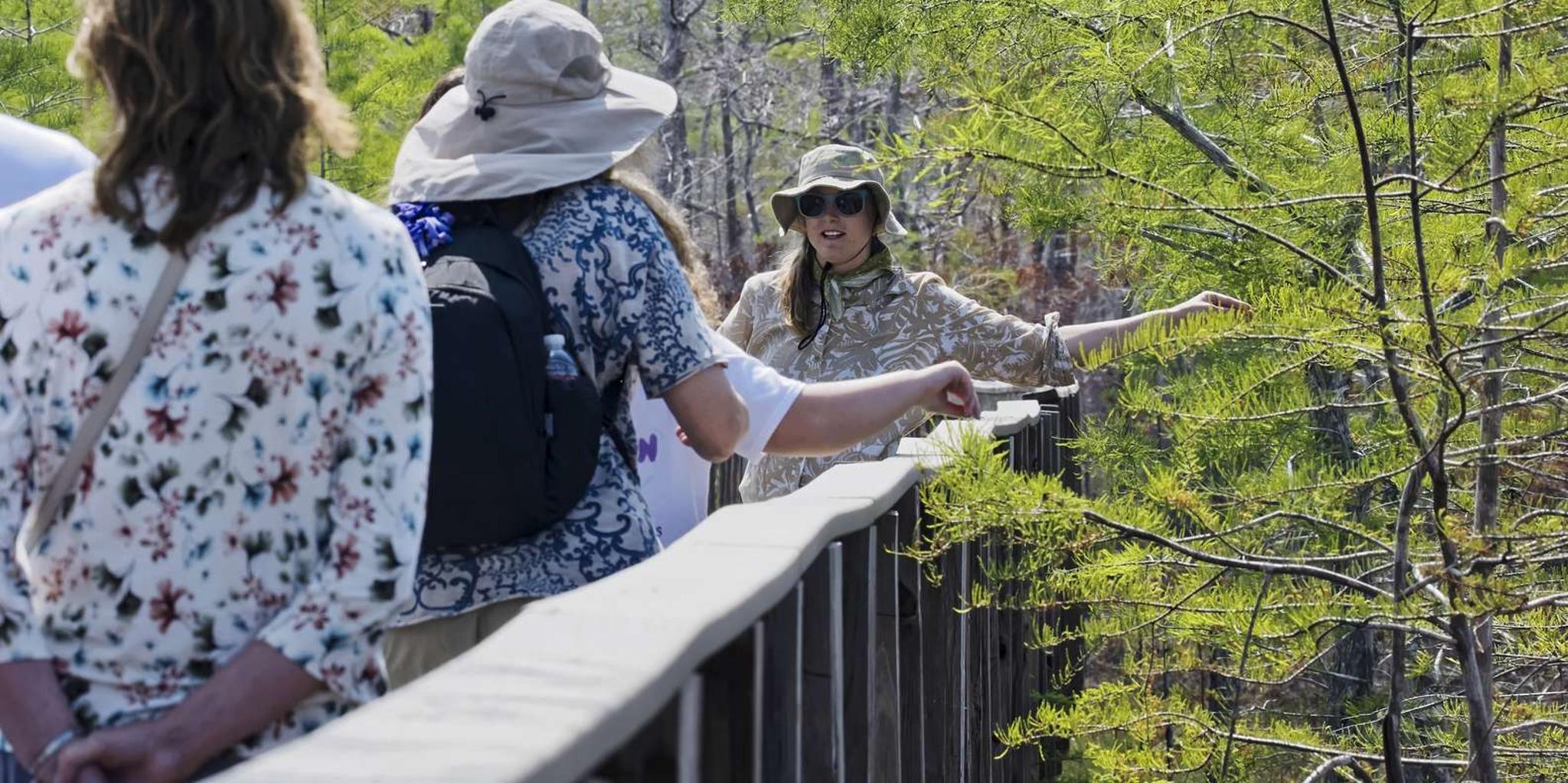 Fort Lauderdale Everglades Safari with Airboat and Cruise - Image 6