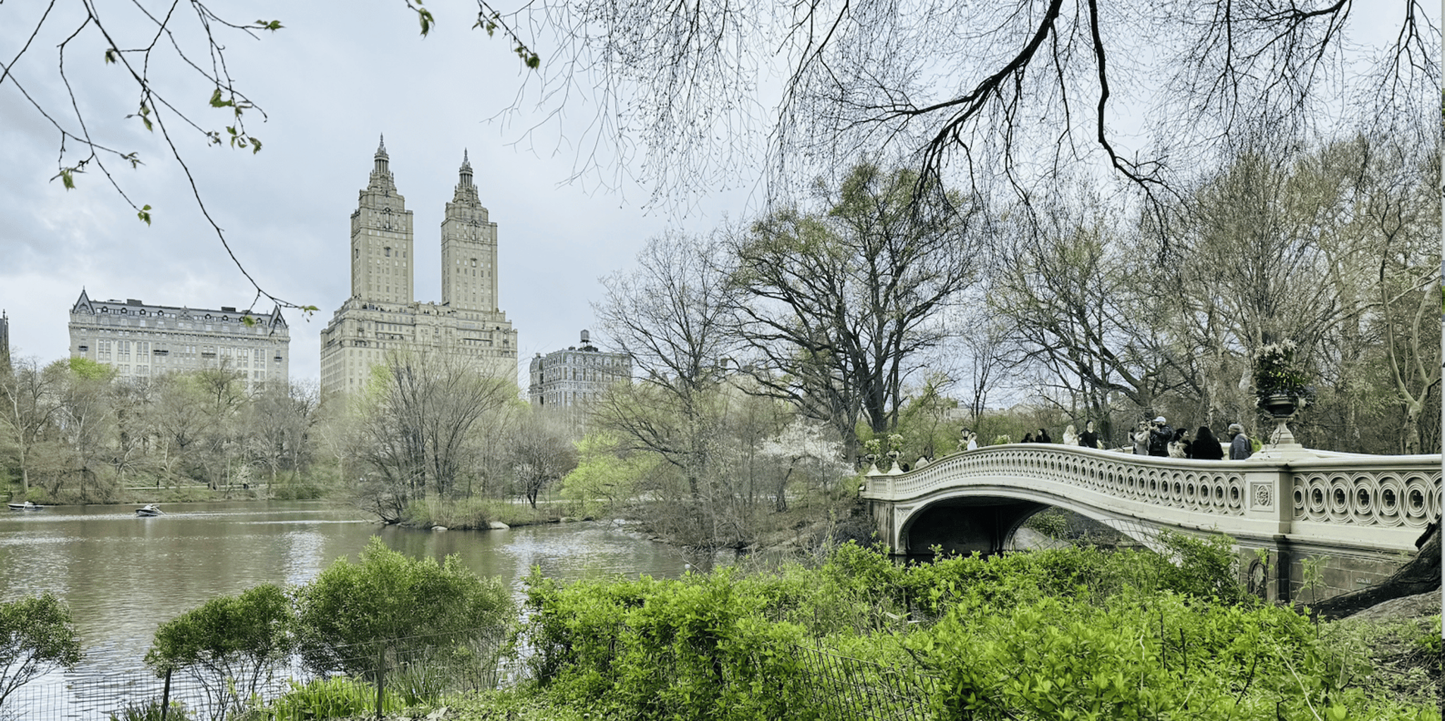 New York Central Park Private Walking Tour - Image 4