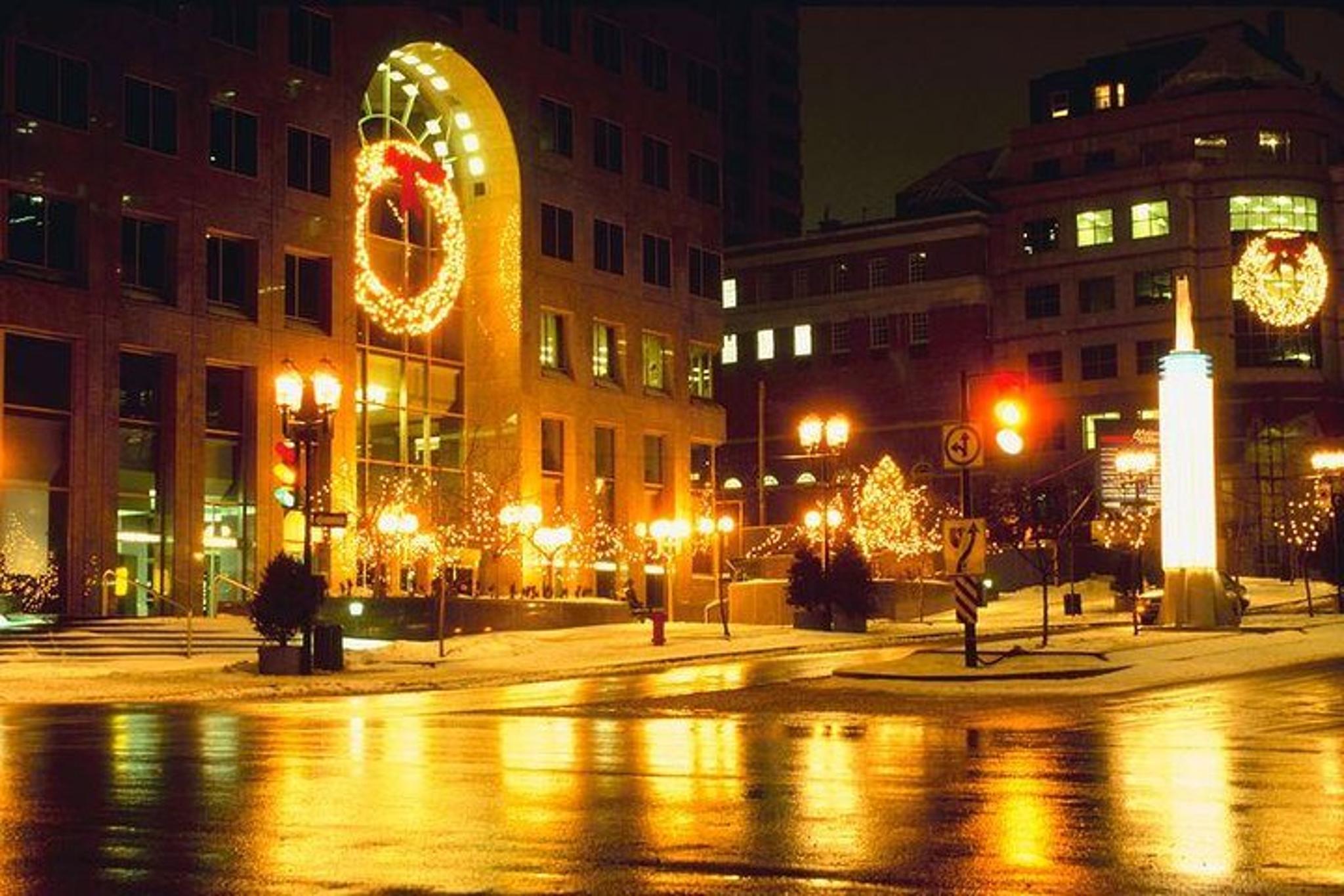 New York Christmas Tour with Driver and Guide - Image 3