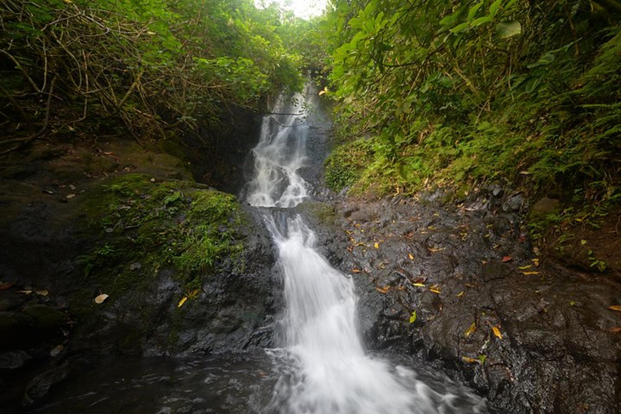 Oahu Hidden Waterfall Hike - Image 1