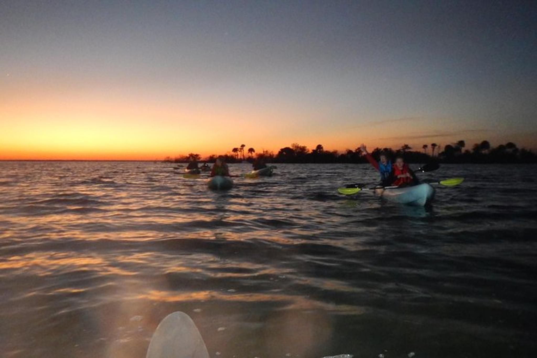 Haulover Canal Kayaking and Bioluminescence Tour - Image 3
