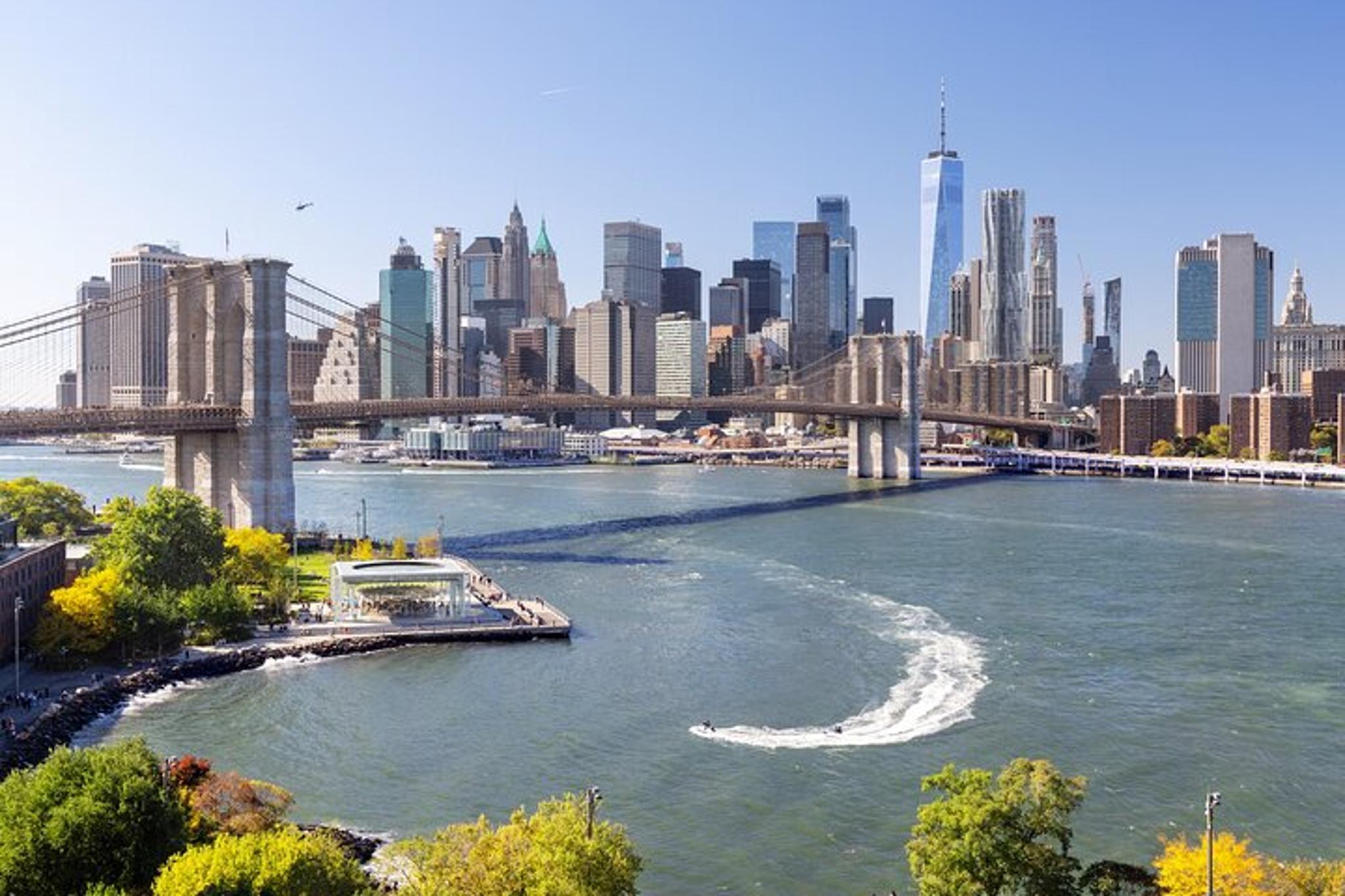 New York City Private Tour - Image 5