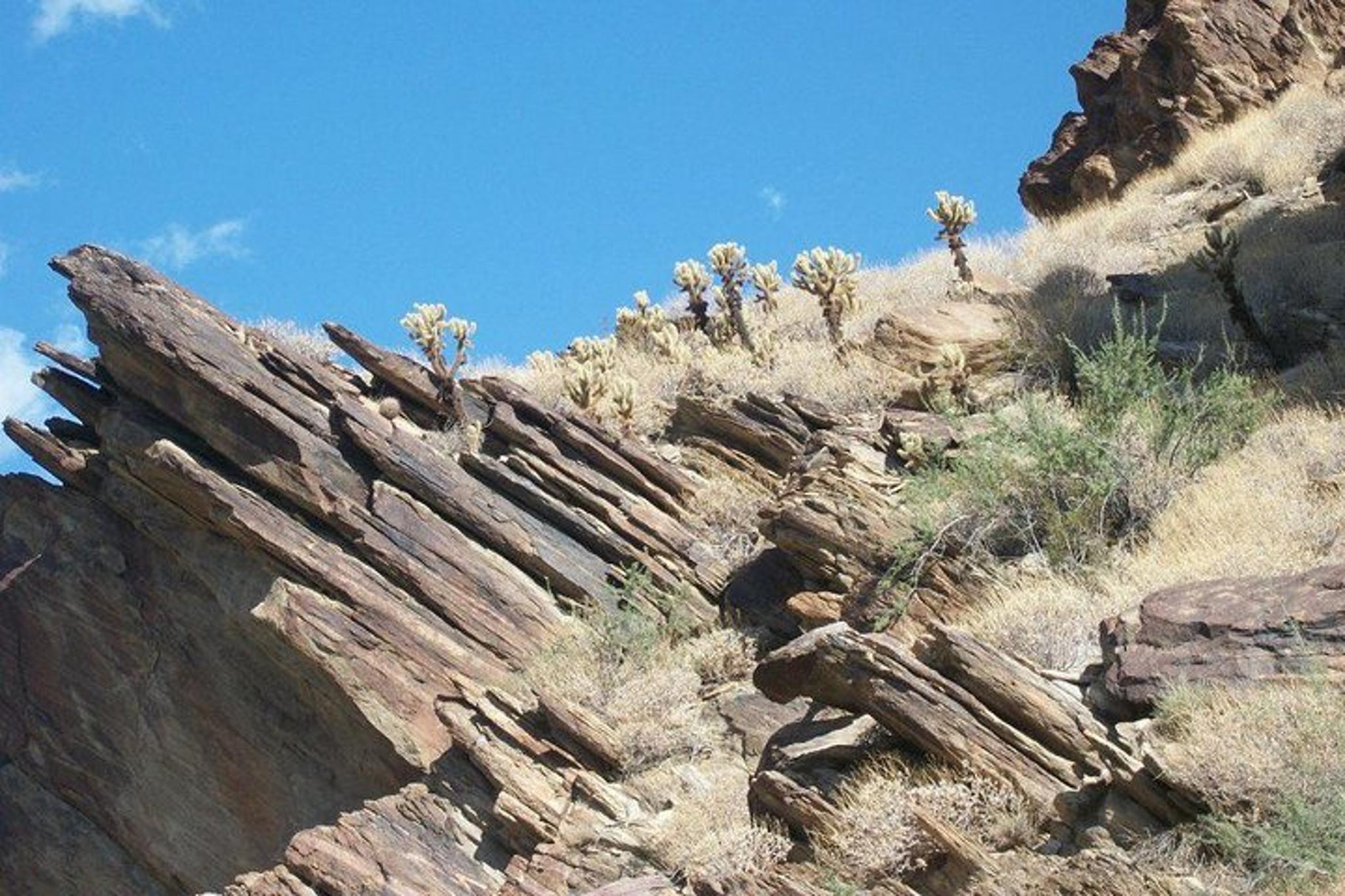 Palm Springs Indian Canyons Jeep Hiking Tour - Image 4