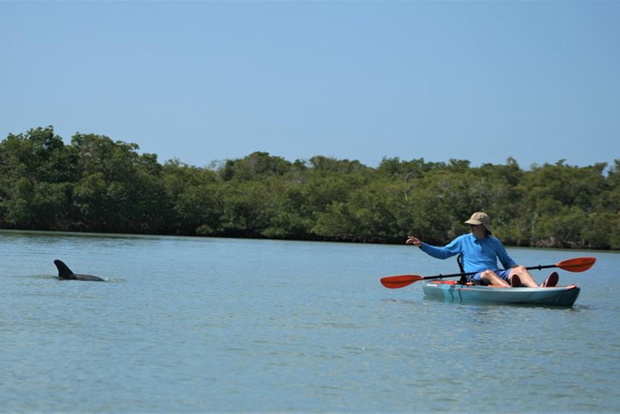 Naples Kayak Rental - Image 3